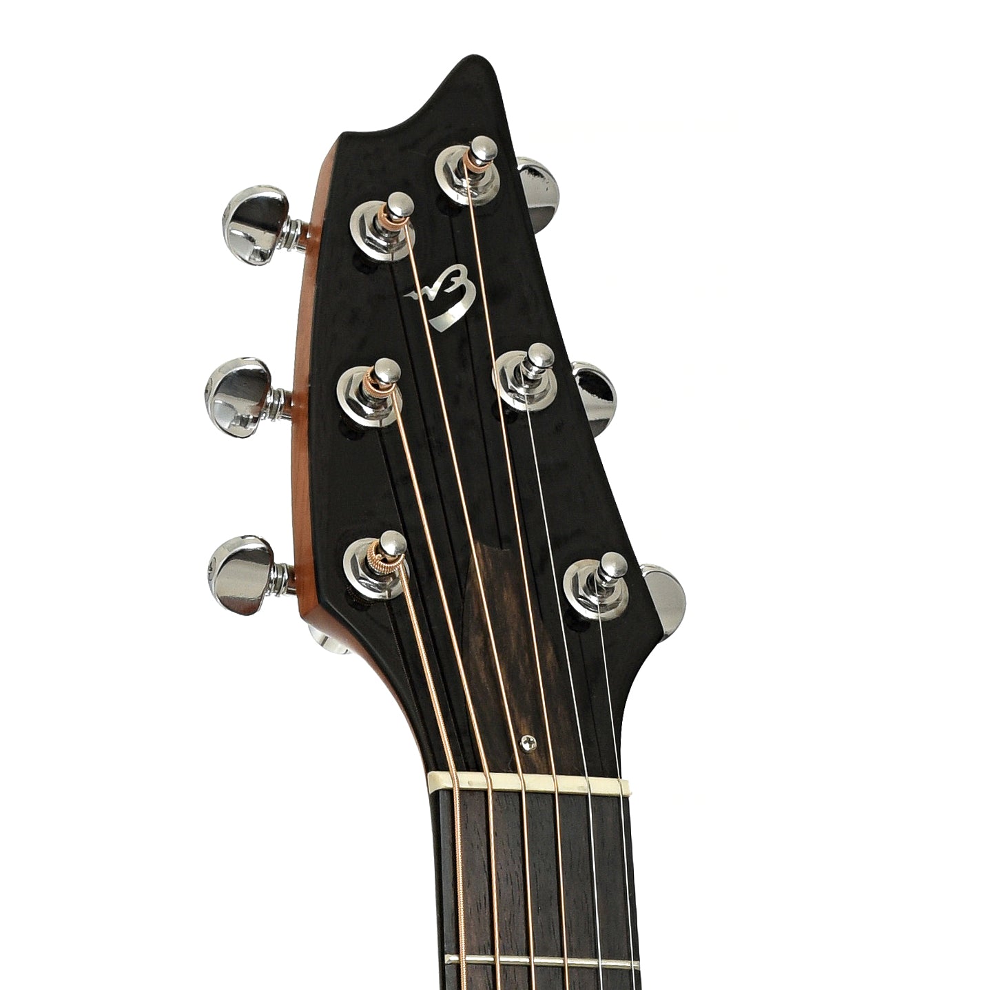 Headstock of Breedlove Focus Acoustic Guitar