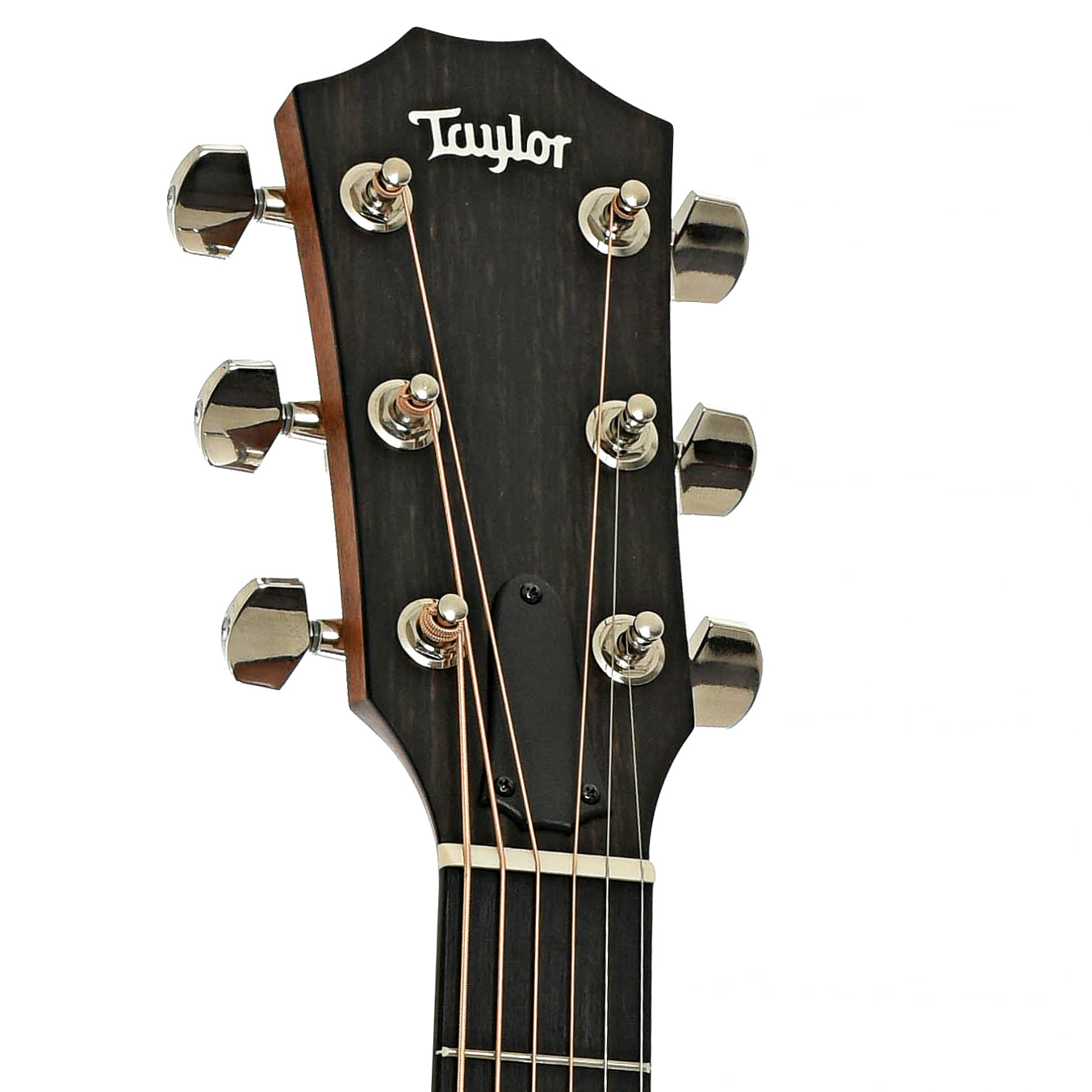 Headstock of Taylor 314ce Studio Acoustic Guitar & Gigbag, Shaded Edgeburst