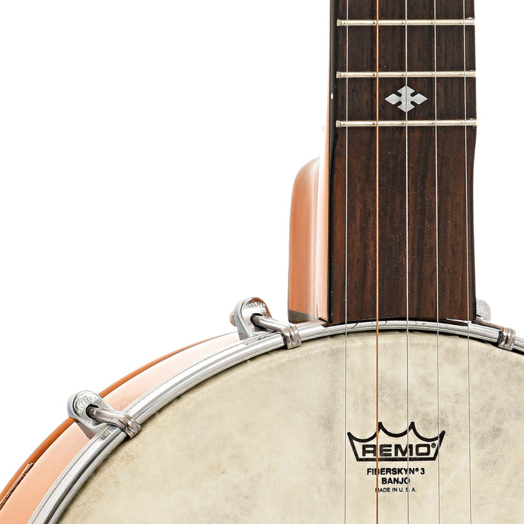 Front Body and neck join of Gold Tone TB100 Travel Banjo (2000)