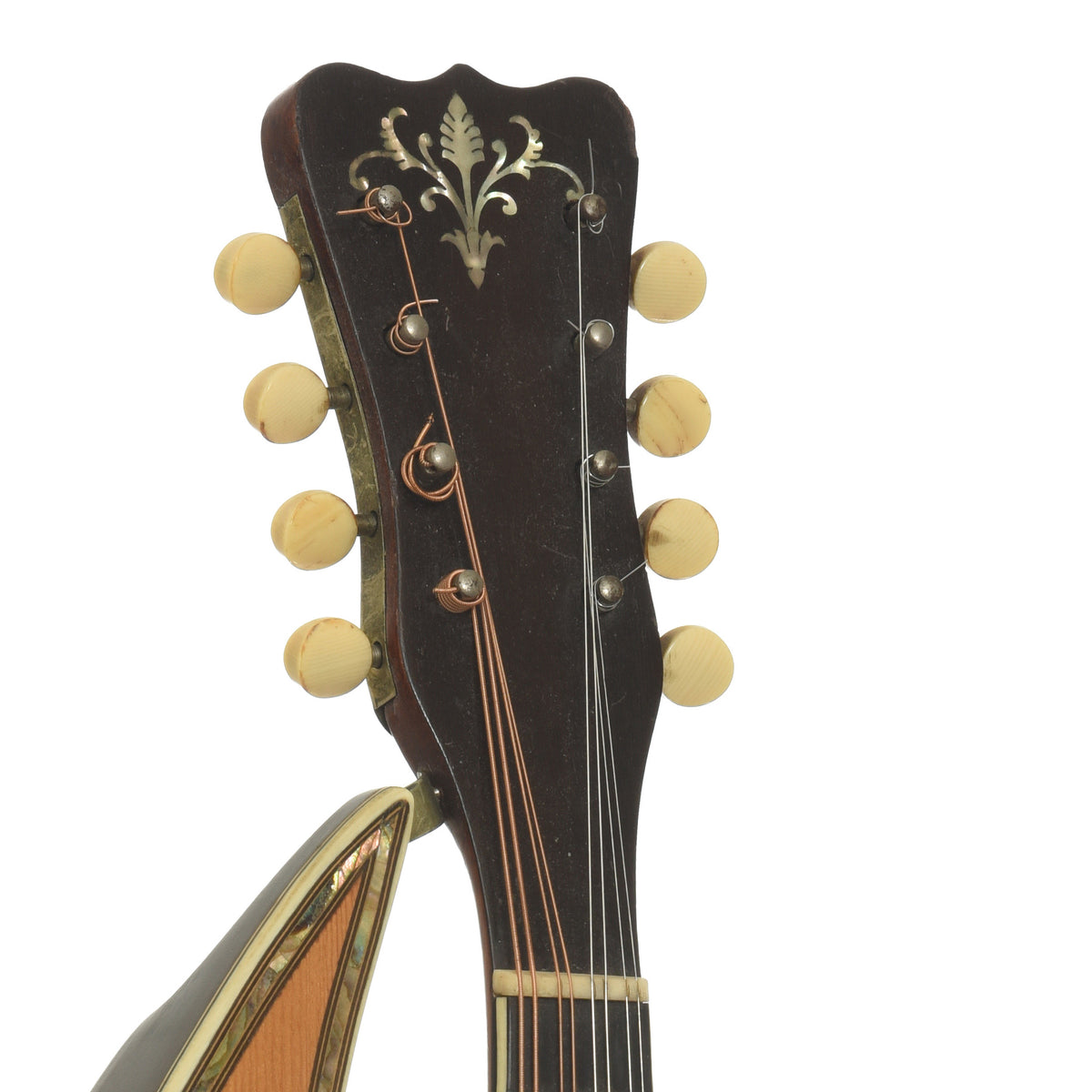Headstock of Dyer Symphonic Harp Mandolin Style 25 