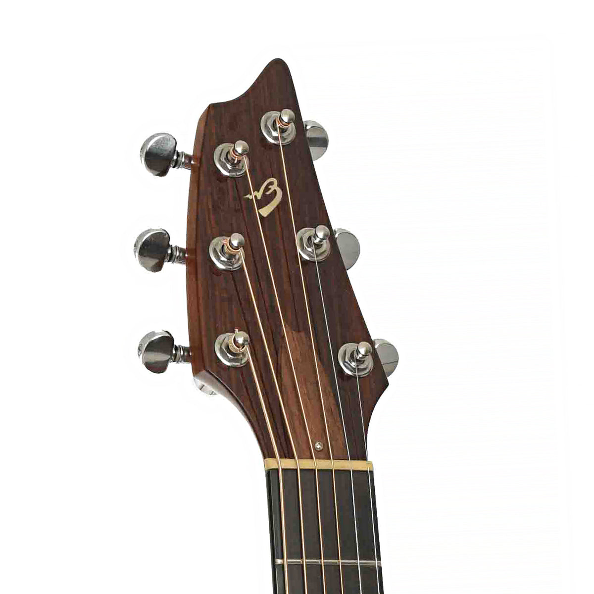 Front headstock of Breedlove SC20/W