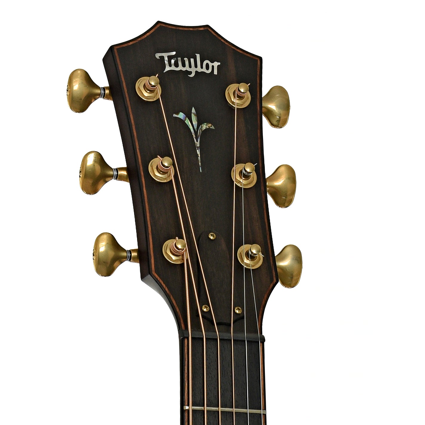 Headstock of Taylor Builder's Edition K14ce Acoustic-Electric Guitar