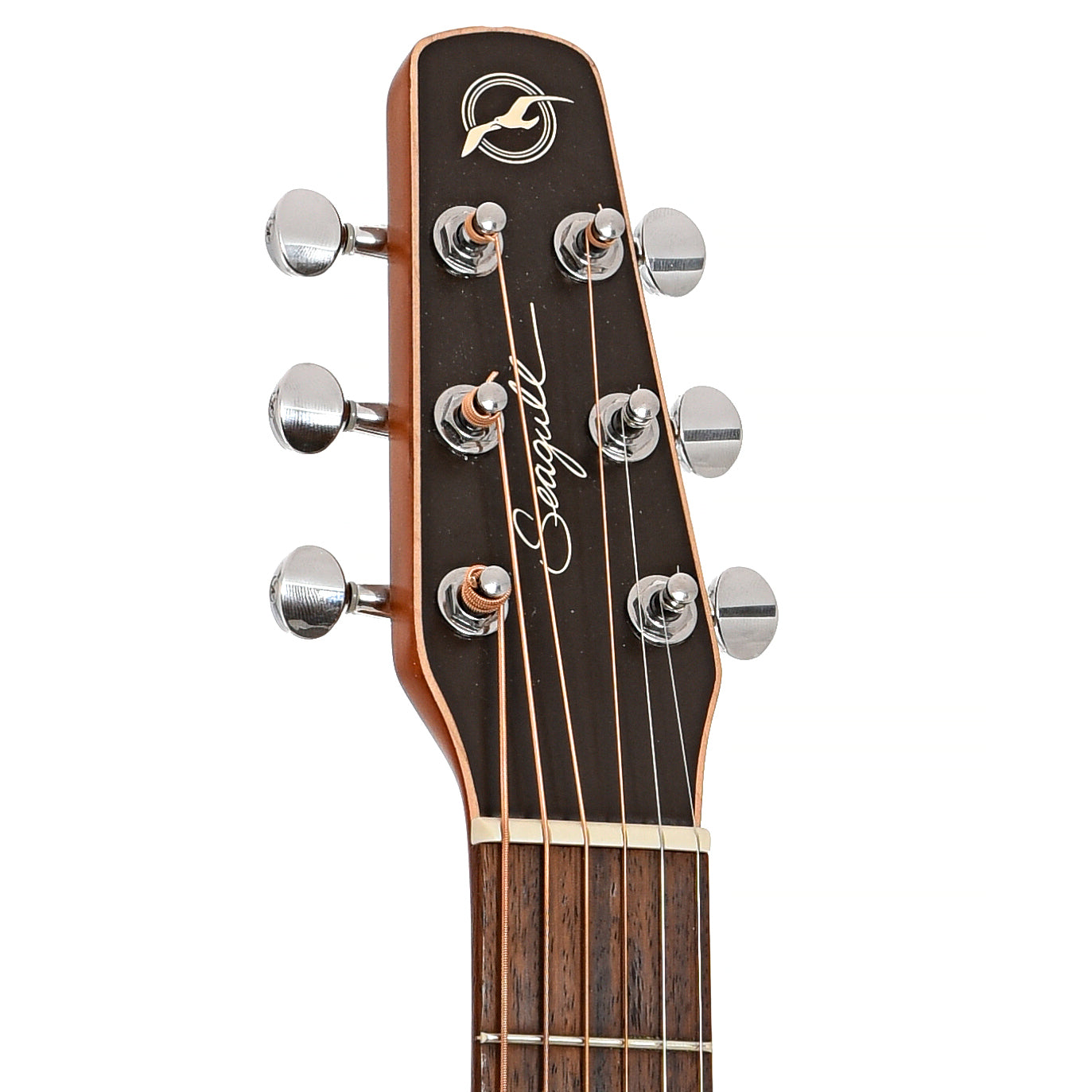 Front headstock of Seagull S6 Original SF Acoustic