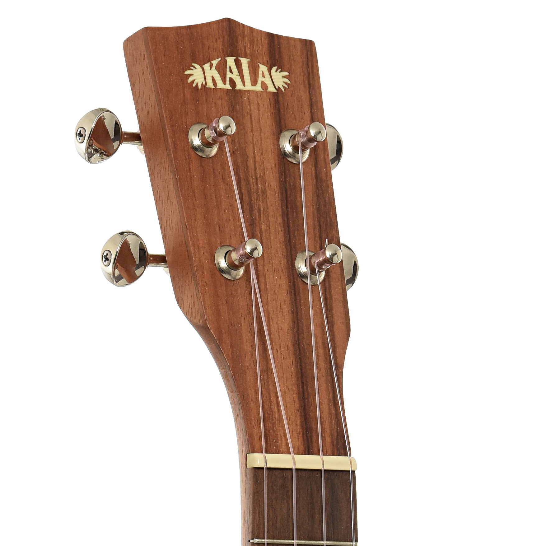 Headstock of Kala 1Koa-C Concert Ukulele
