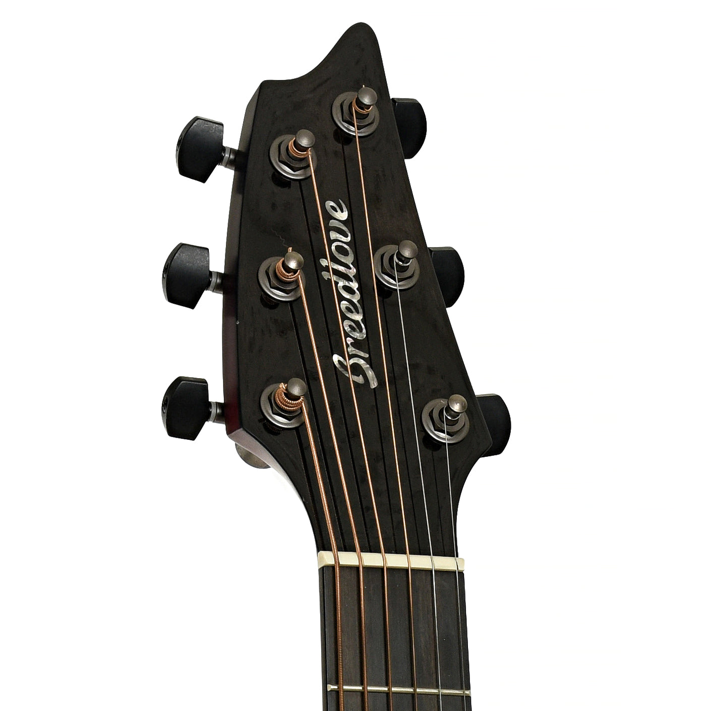 Headstock of Breedlove Oregon Concert LTD Acoustic Electric Guitar