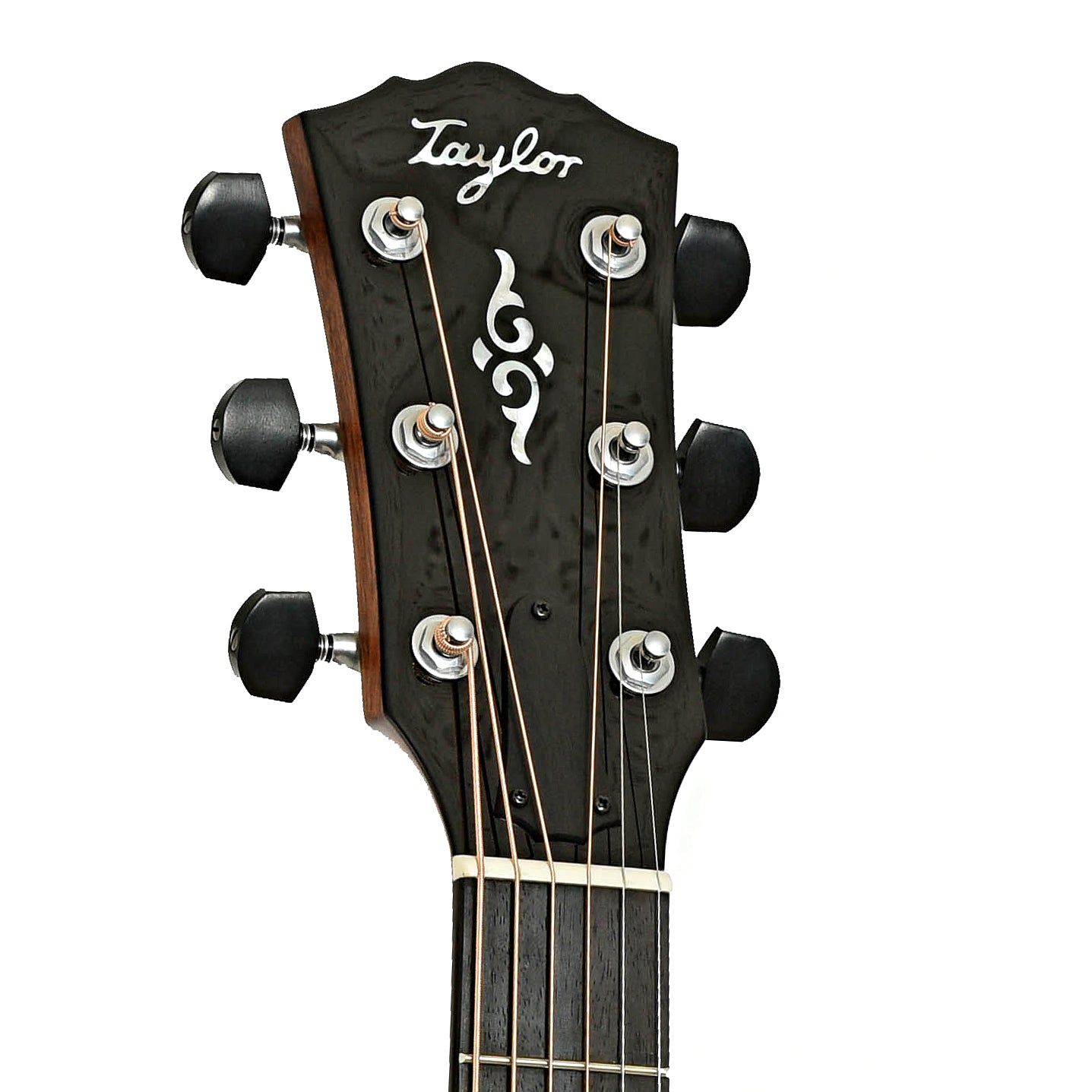 Headstock of Taylor Gold Label 814e Acoustic Guitar
