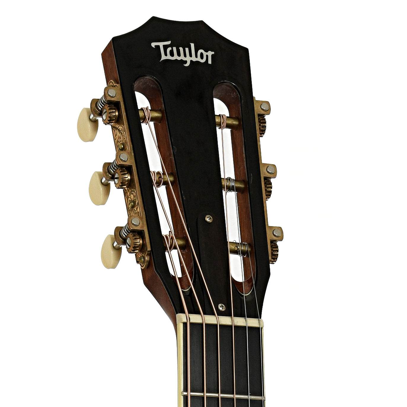Headstock of Taylor XXX-KE 30th Anniversary Acoustic Guitar 