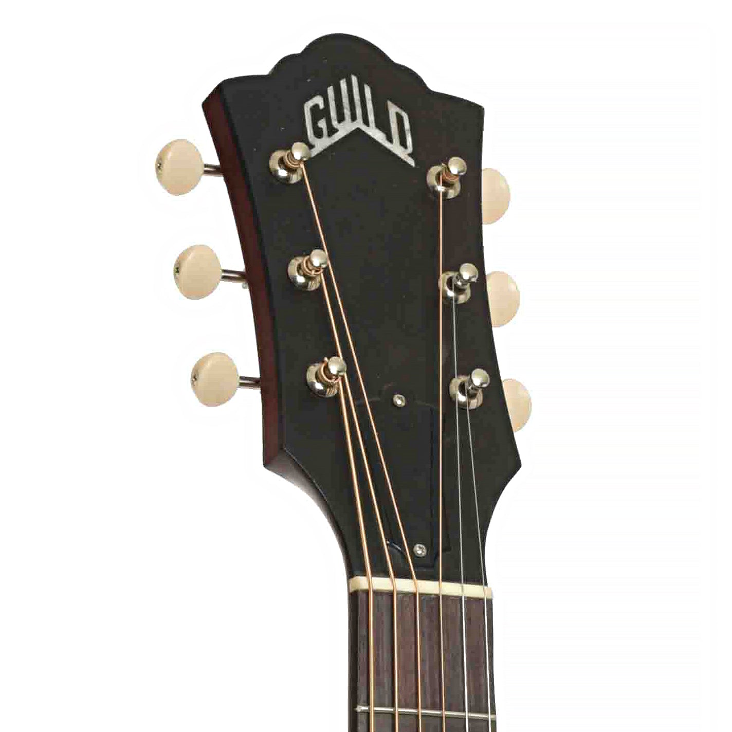 Guild M-20  Acoustic Guitar (2025)