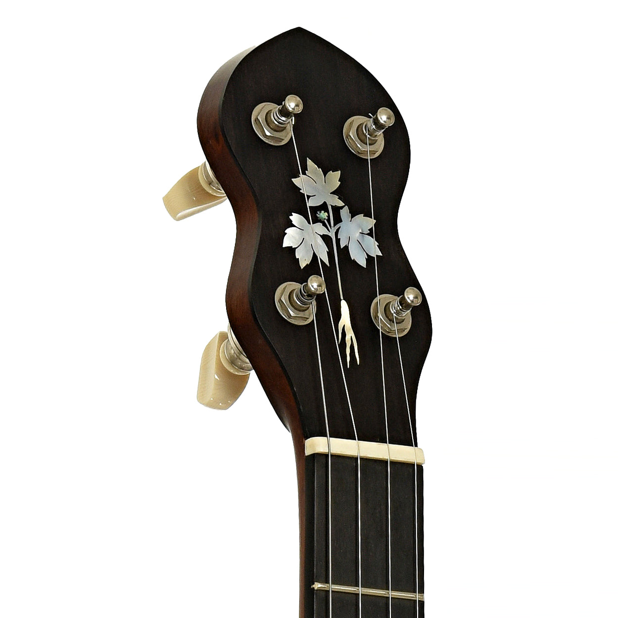 Headstock of Cedar Mountain A1V Appalachian Open Back Banjo