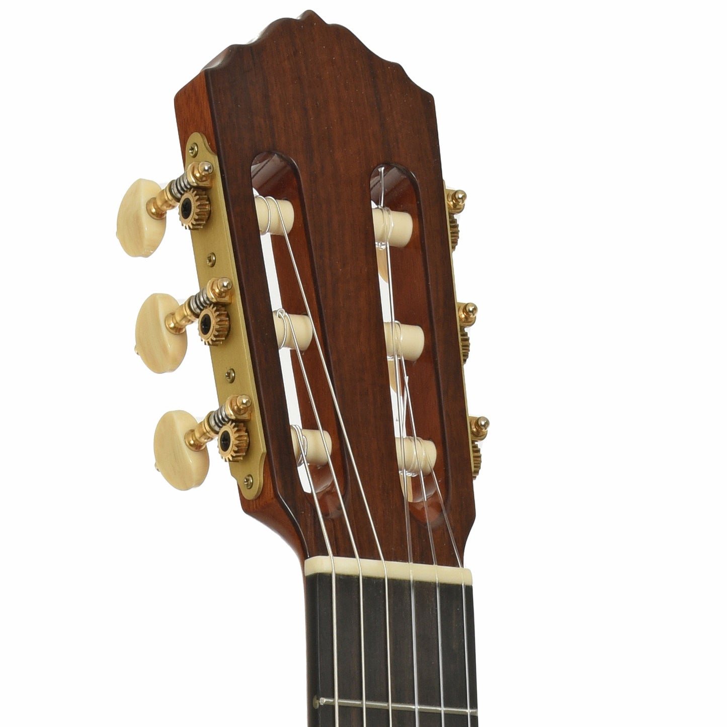 Headstock of Cordoba Esteso SP Classical Acoustic Guitar