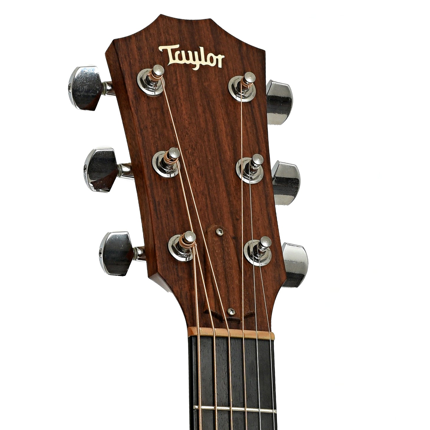 Taylor 314CE Acoustic-Electric Guitar (2008) – Elderly Instruments