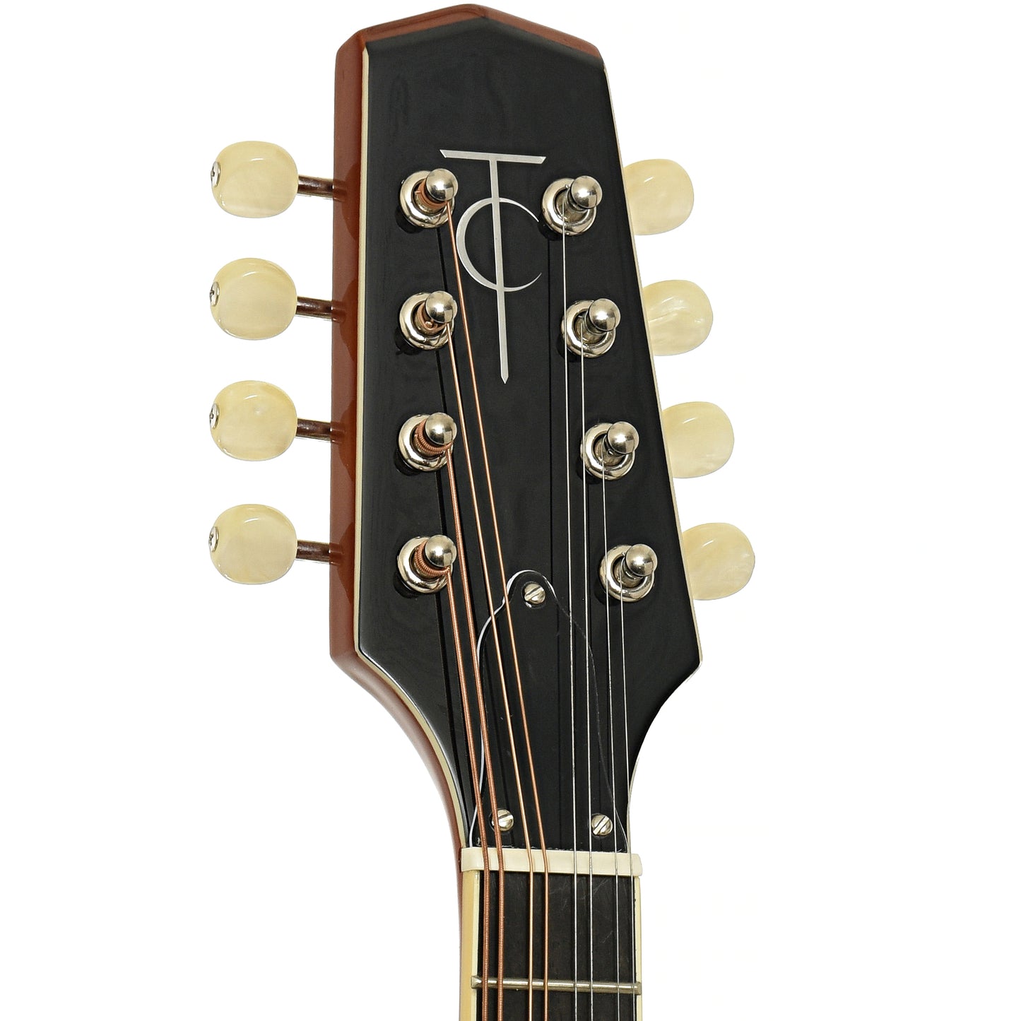 Headstock of Trinity College TM-250 Celtic Mandolin 