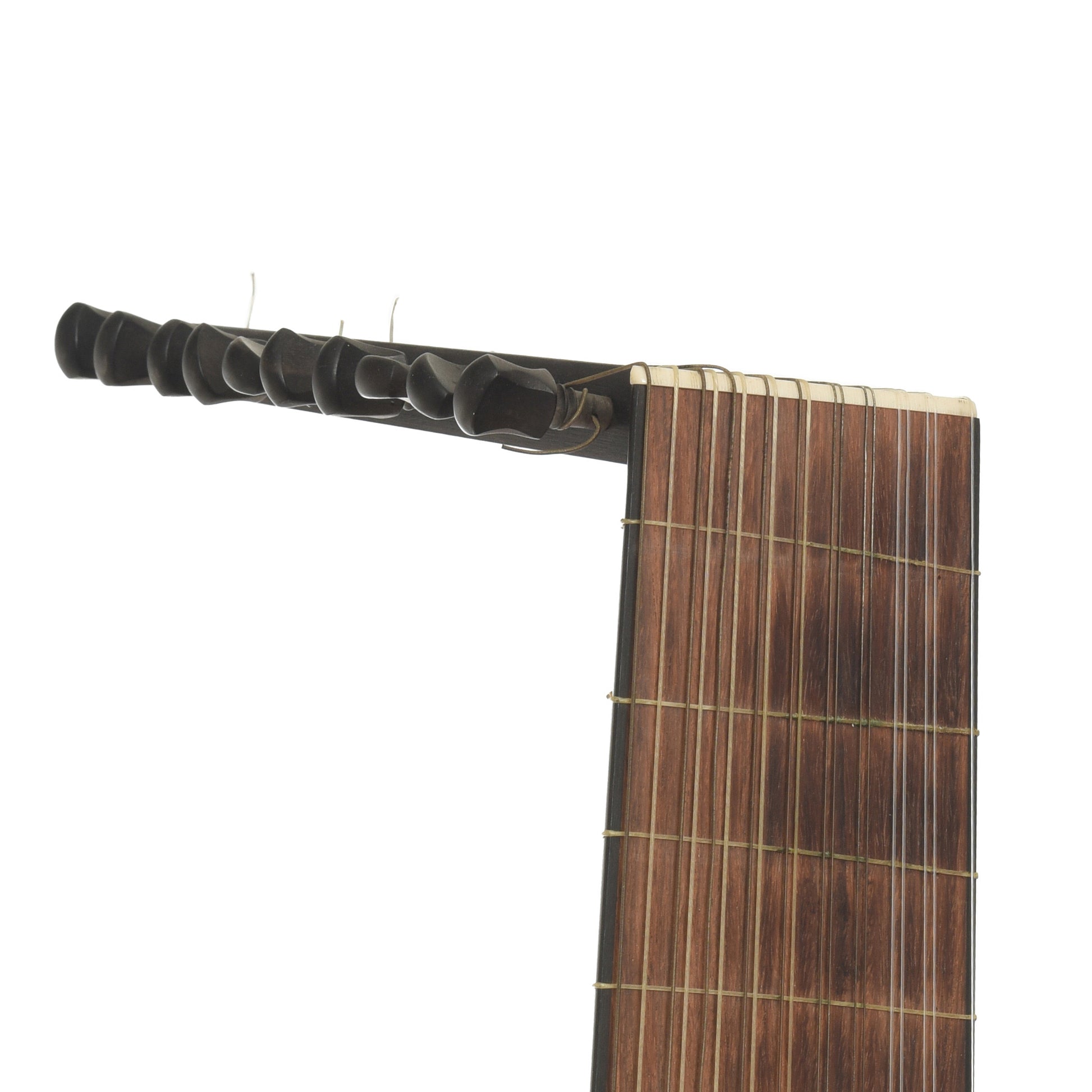 Headstock of  James P. North 20-String Lute   
