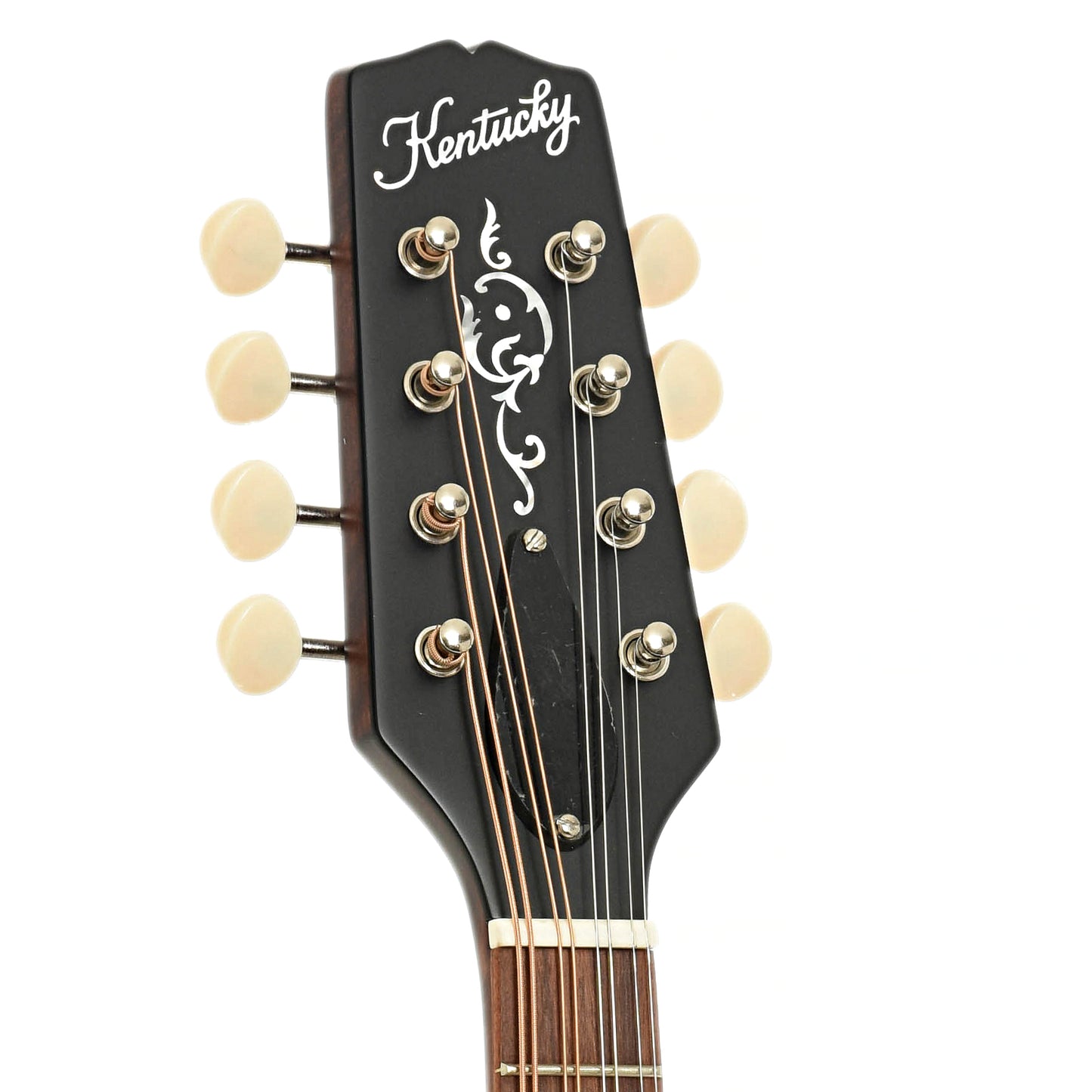 Headstock of Kentucky KM-226 Oval Hole A-Model Mandolin