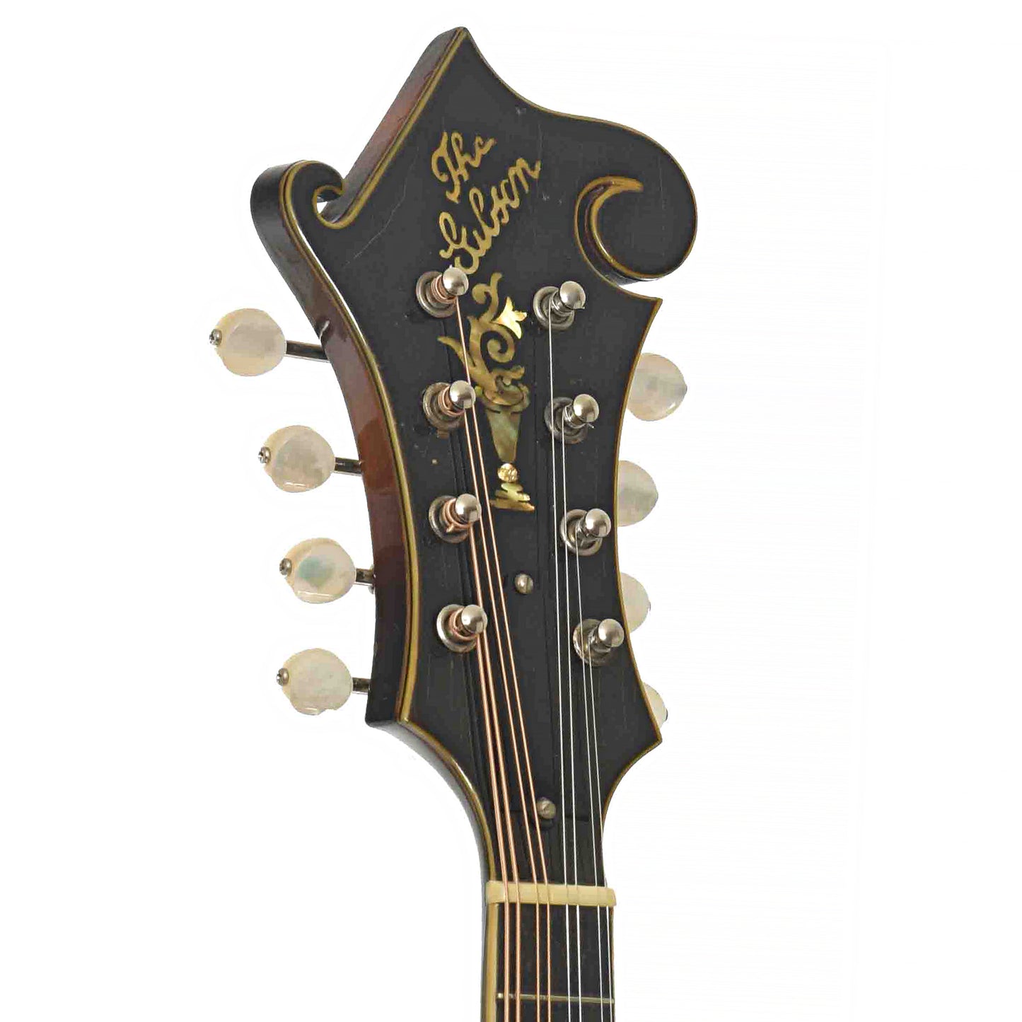 Front headstock of of Gibson F-5 Master Model