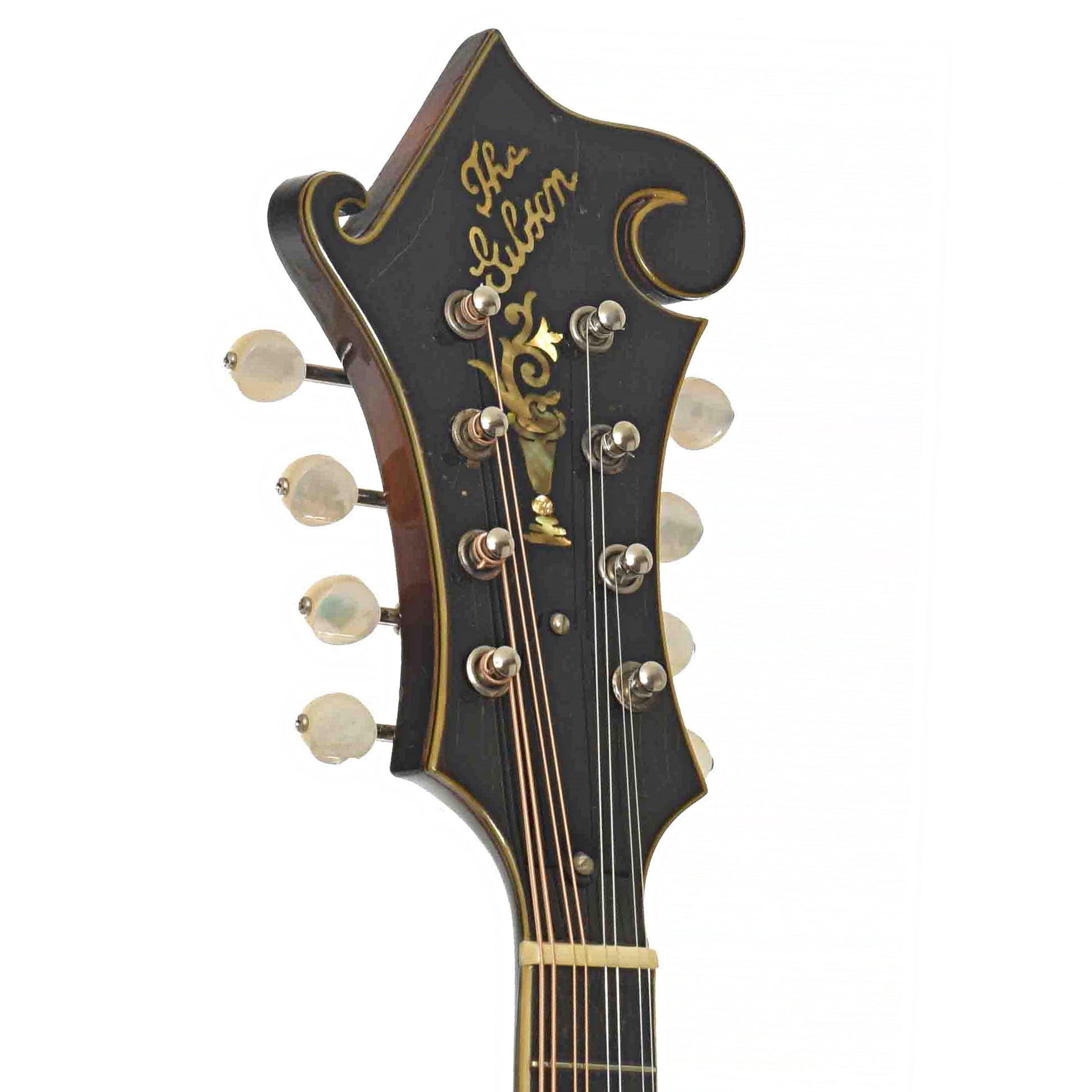 Front headstock of of Gibson F-5 Master Model
