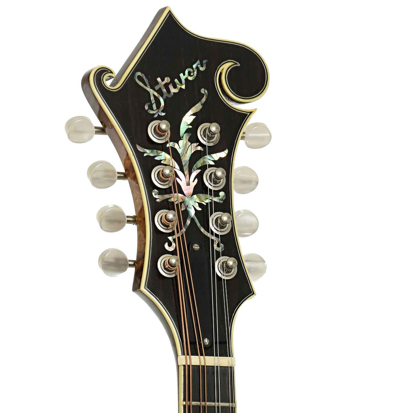 Headstock of Stiver Model F Mandolin