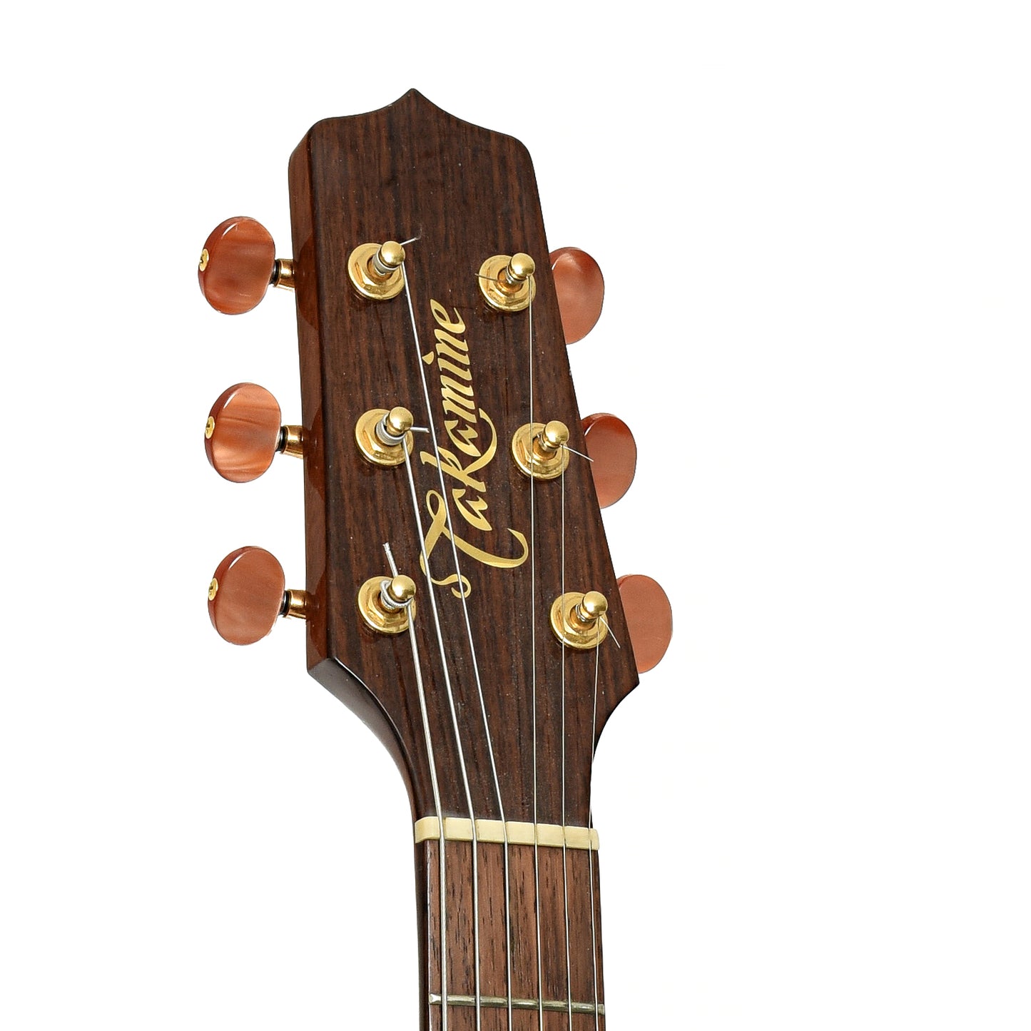 Headstock of Takamine TAN55C Super Natural Acoustic-Electric Guitar 