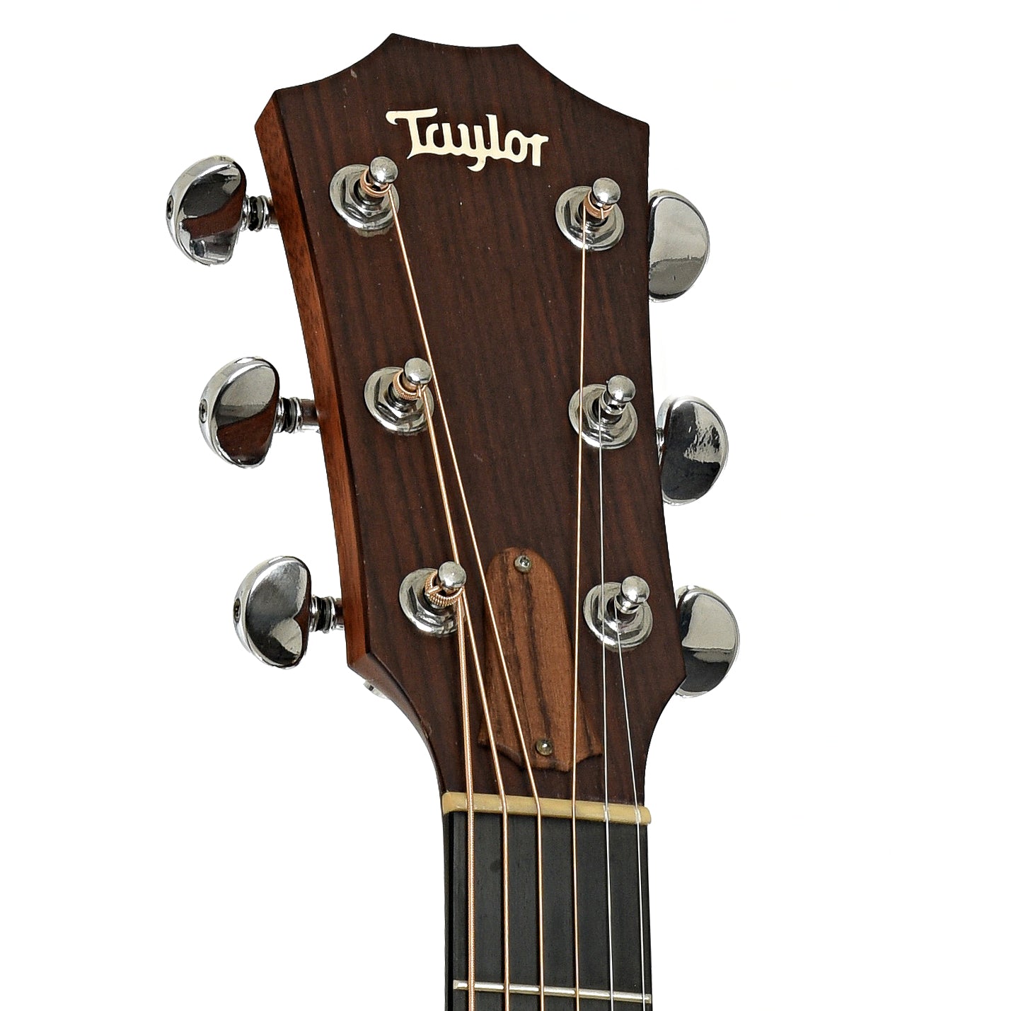 Headstock of Taylor 310-CE Acoustic-Electric Guitar 
