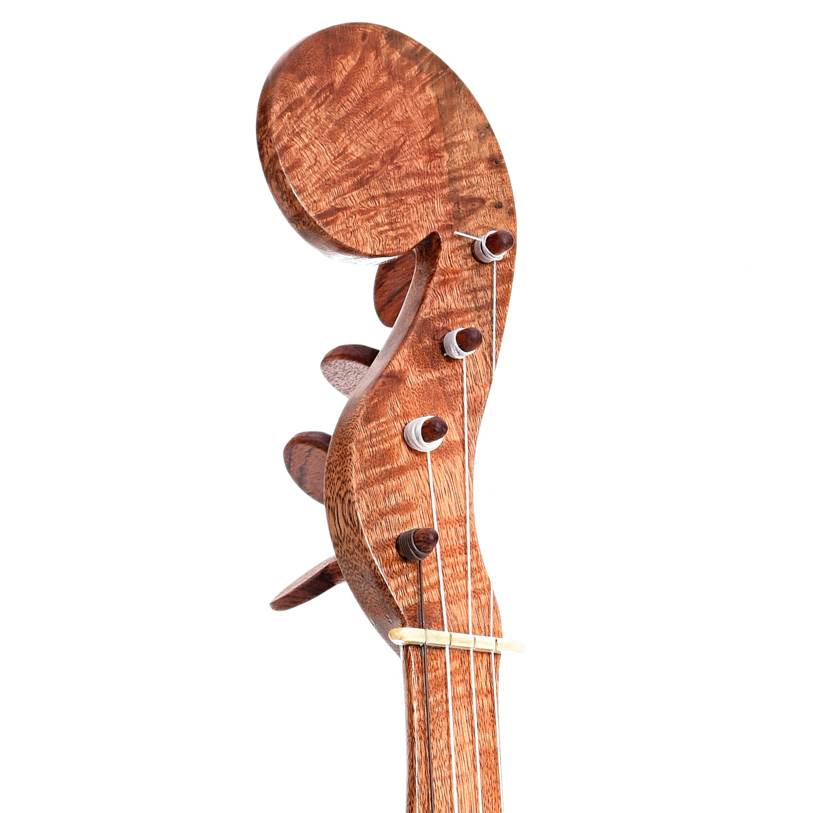 Front headstock of Menzies Fretless Gourd Banjo #578