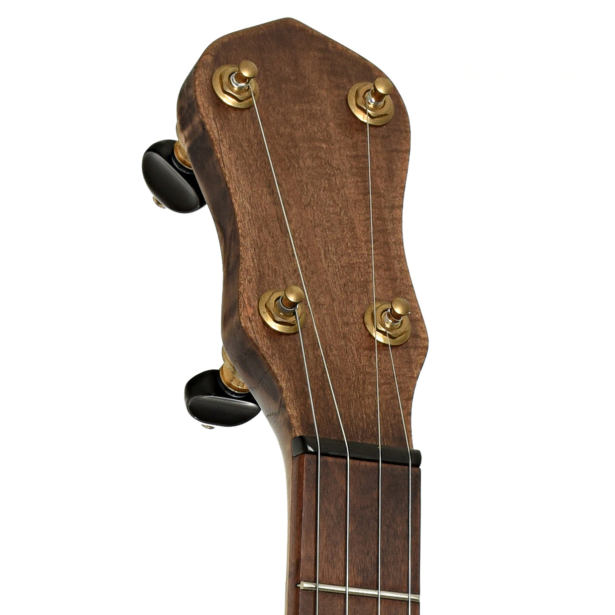Headstock of Dogwood 12" Open Back Banjo