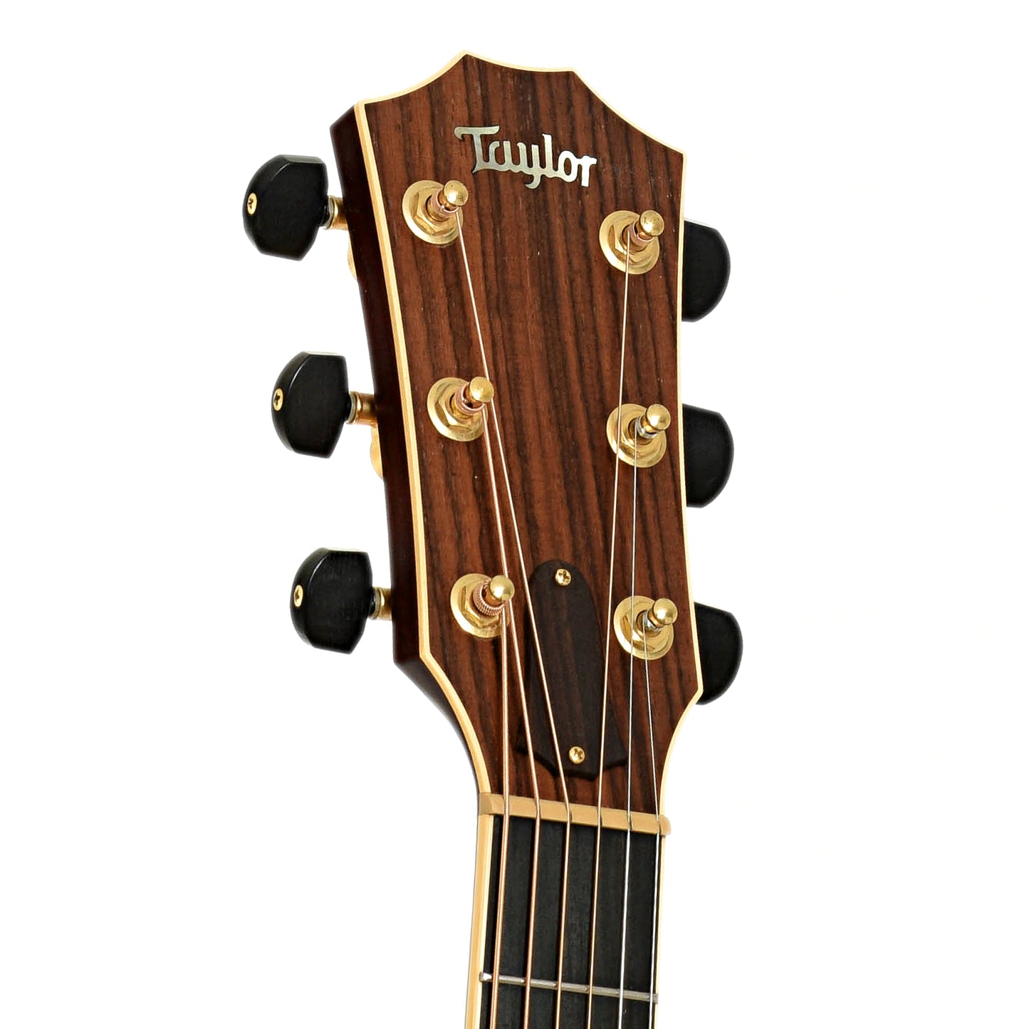 Headstock of Taylor XXV-GA 25th Anniversary