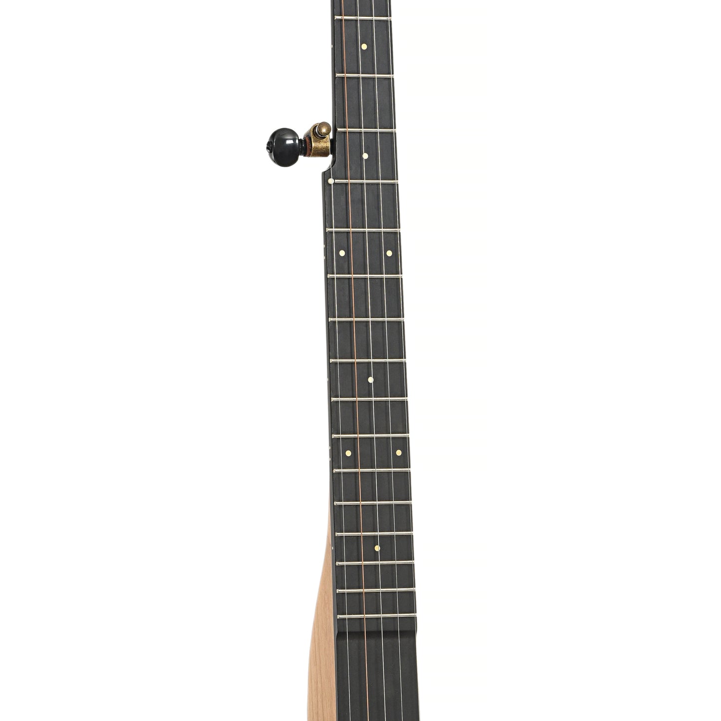 Fretboard of Pisgah Roscoe Banjo