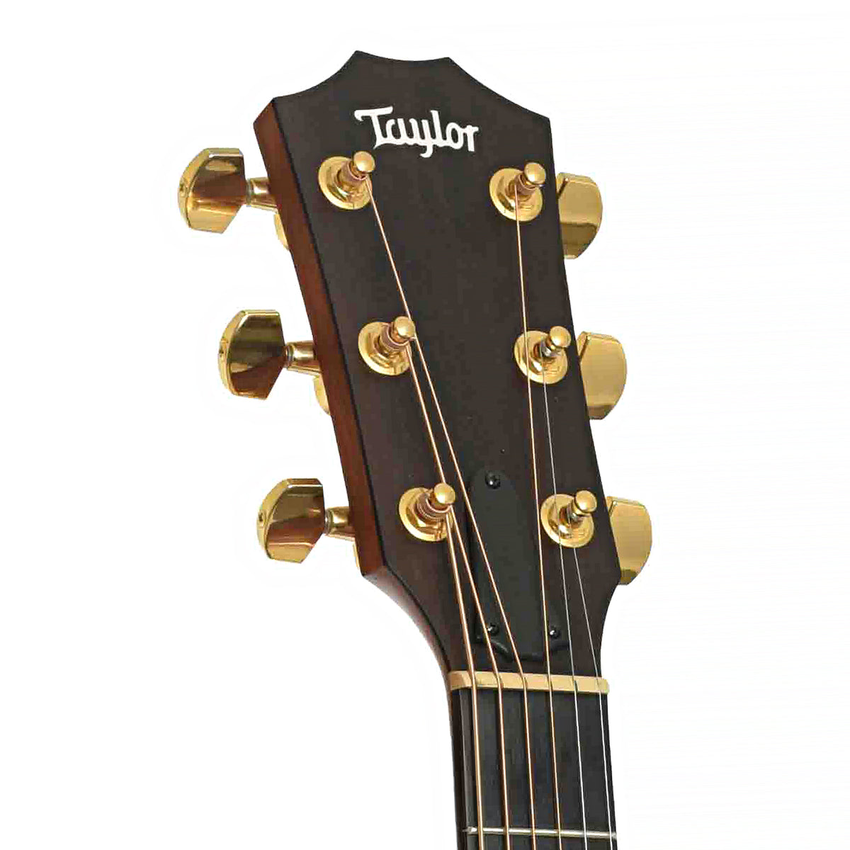 Front headstock of Taylor 214ce DLX