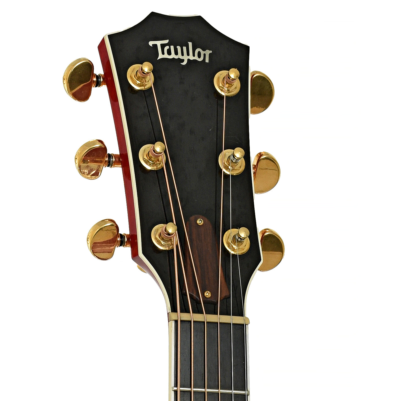 Headstock of Taylor 610 Transparent Red Acoustic Guitar 