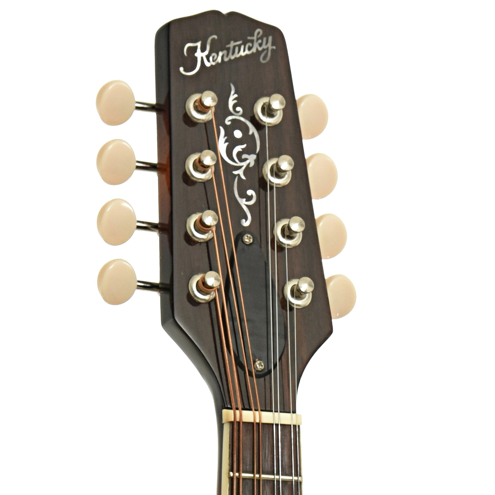 Headstock of Kentucky KM-250 A-Style Mandolin