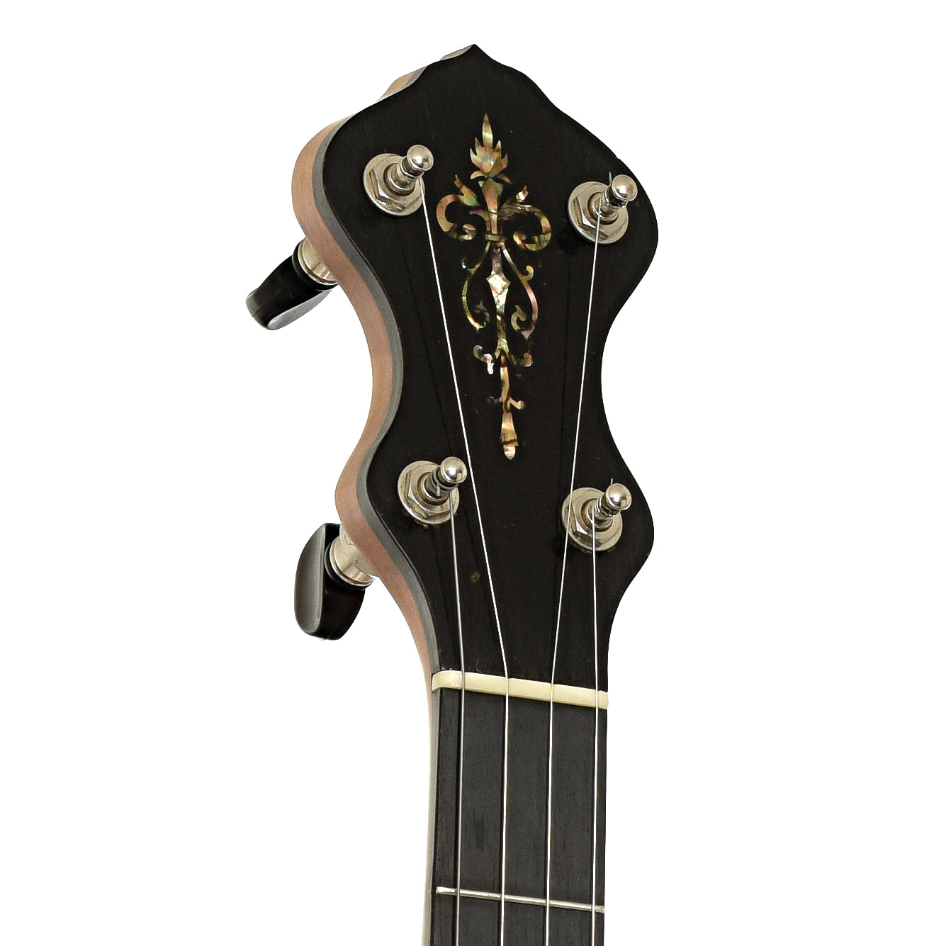 Headstock of Chanterelle Mike Ramsey Bacon Model Open Back 