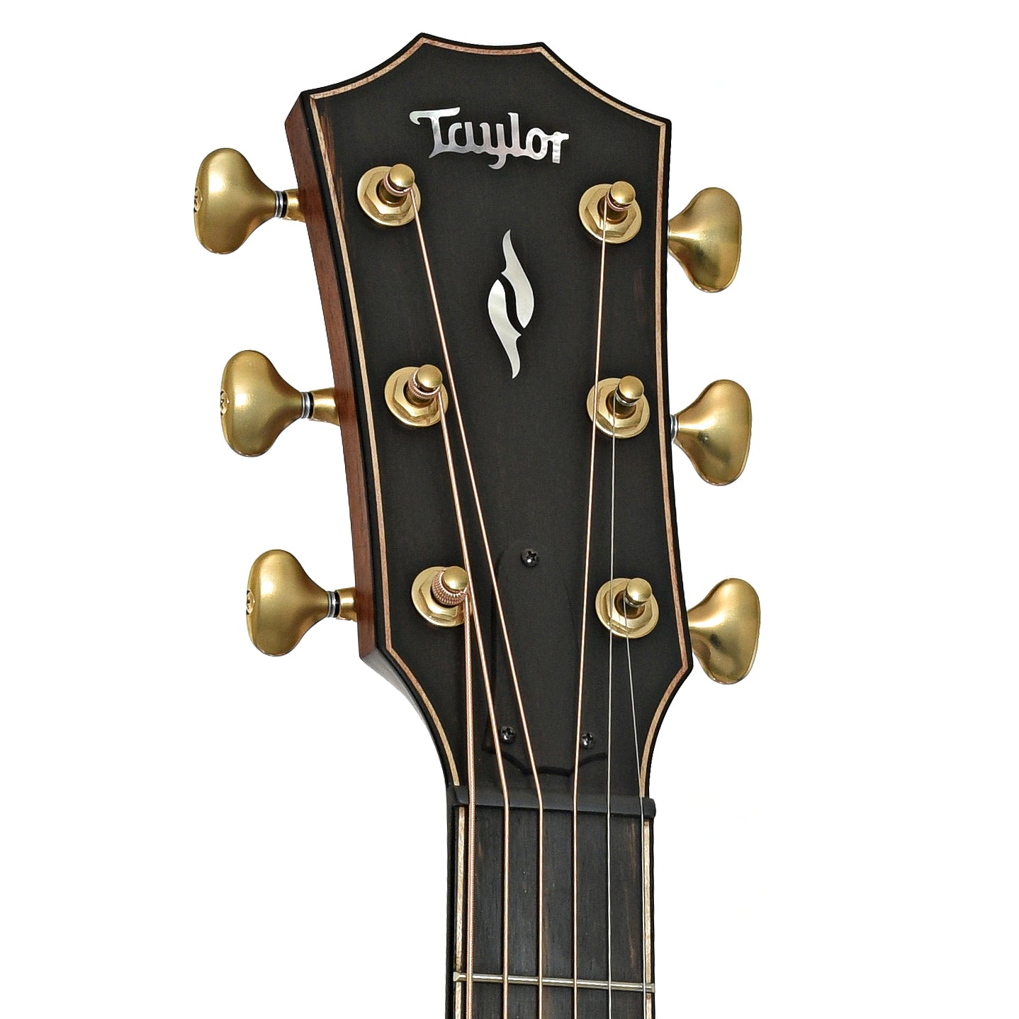 Headstock of Taylor Next Generation Builder's Edition 814ce Acoustic-Electric Guitar & Case, Honduran Rosewood/Sinker Redwood
