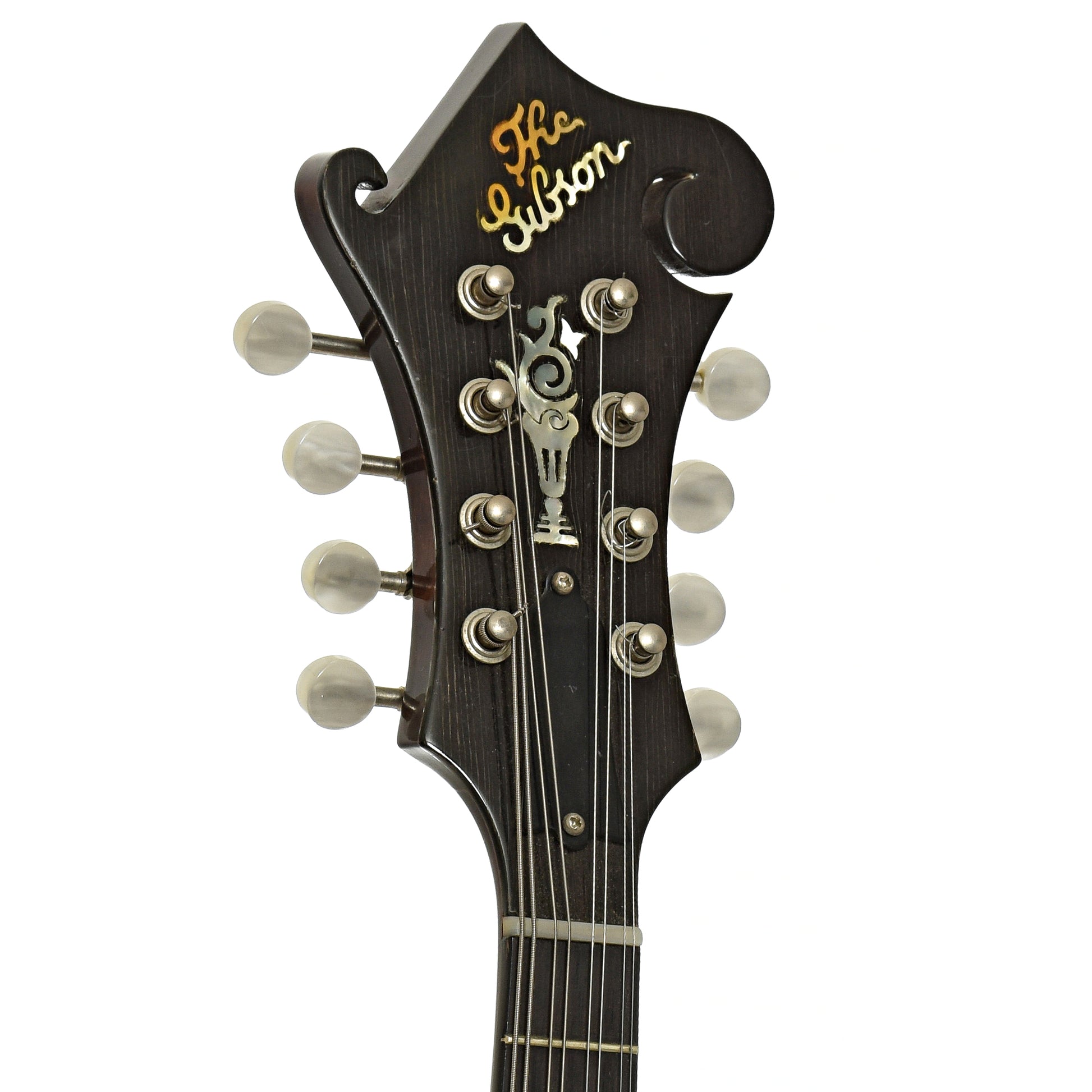 Headstock of Gibson F-5G Mandolin