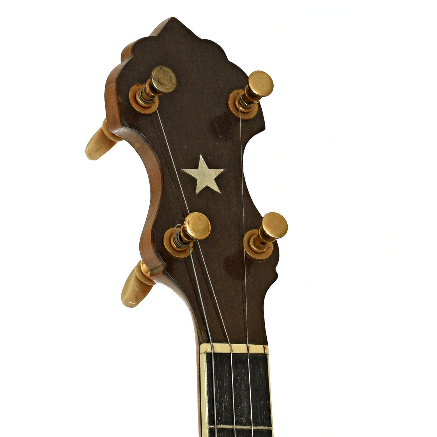 Headstock of Vega Style R Whyte Laydie Tenor Banjo 