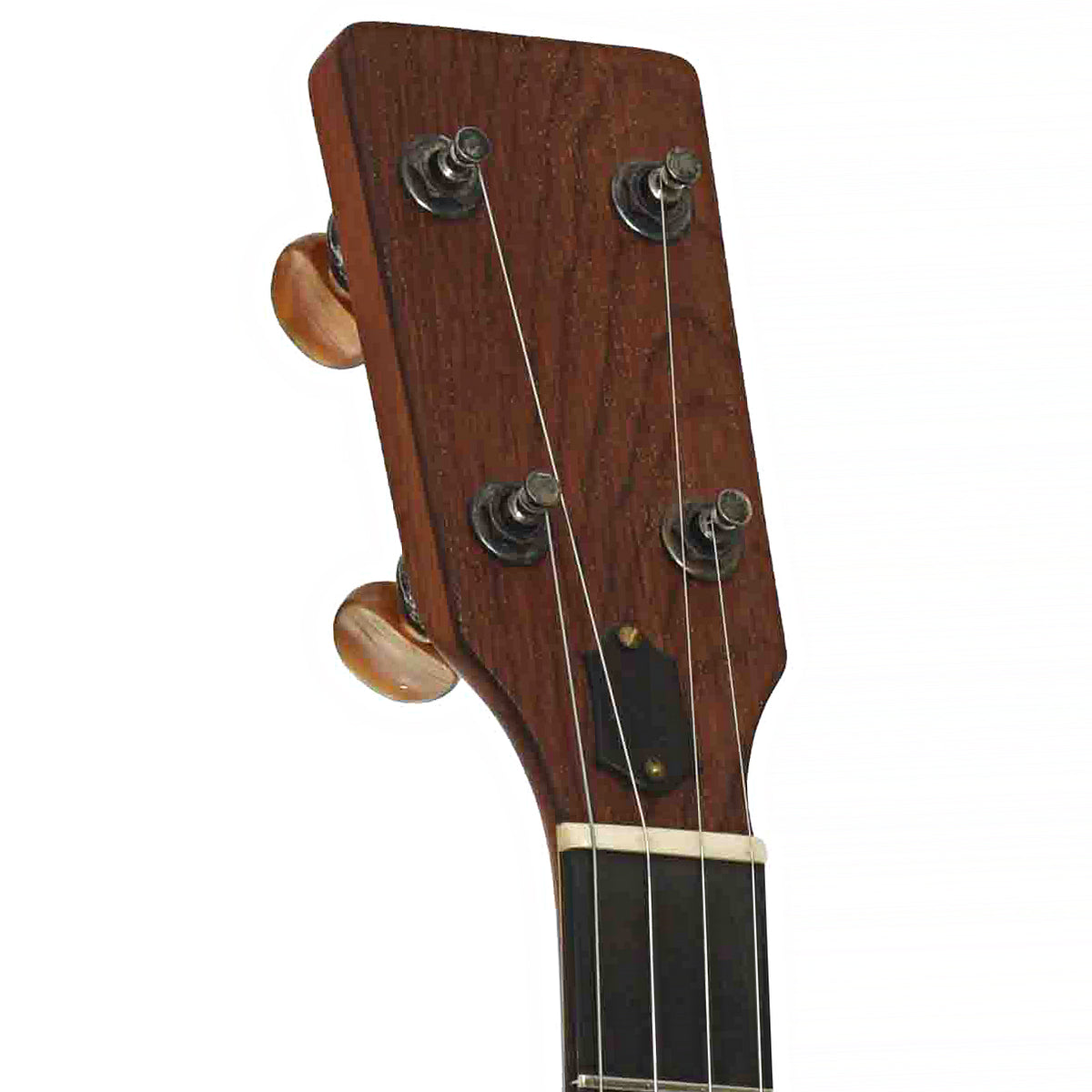 Front Headstock of Ome Tupelo Cherry 12 in. Openback Banjo