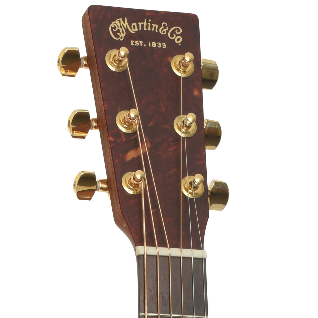 Headstock of Martin SWDGT Acoustic Guitar