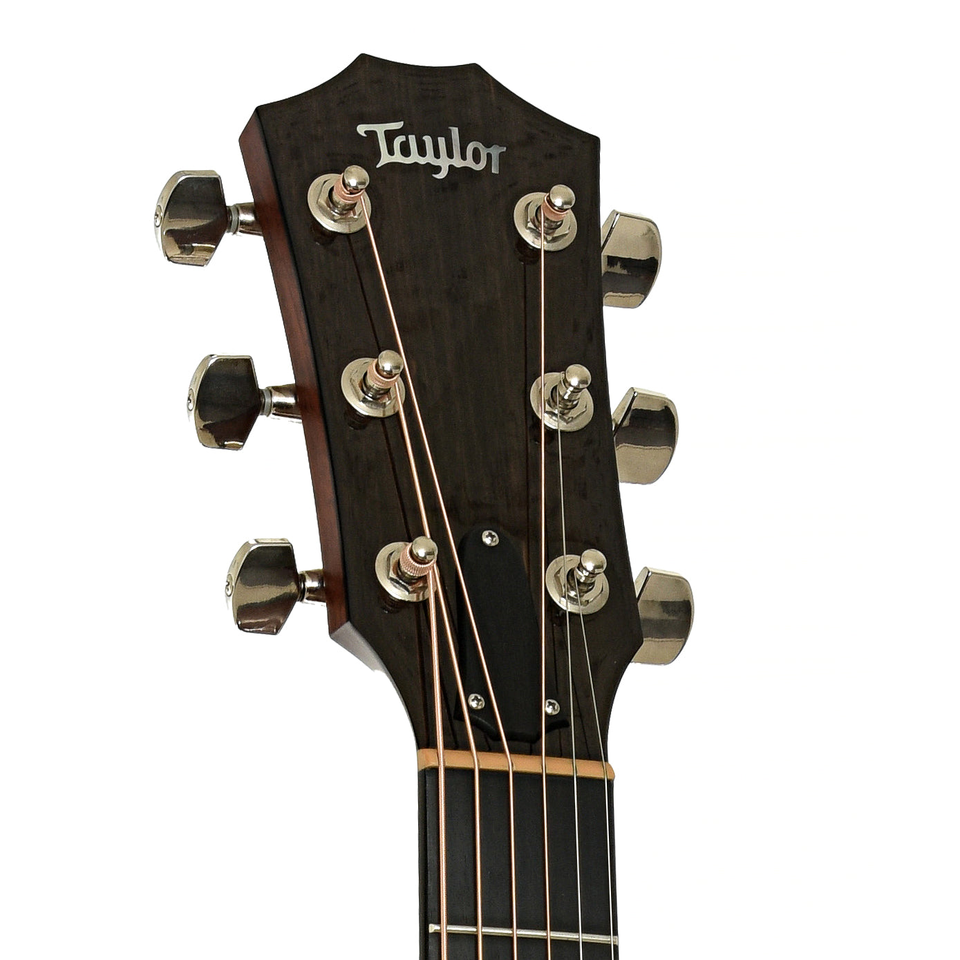 Headstock of Taylor 714ce Acoustic-Electric Guitar 