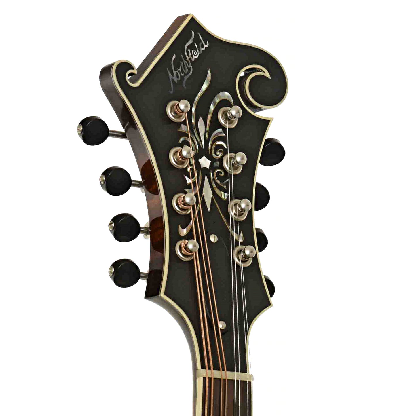 Headstock of Northfield Workshop NFB-F5E Master Model Big Mon Mandolin, Engelmann Top