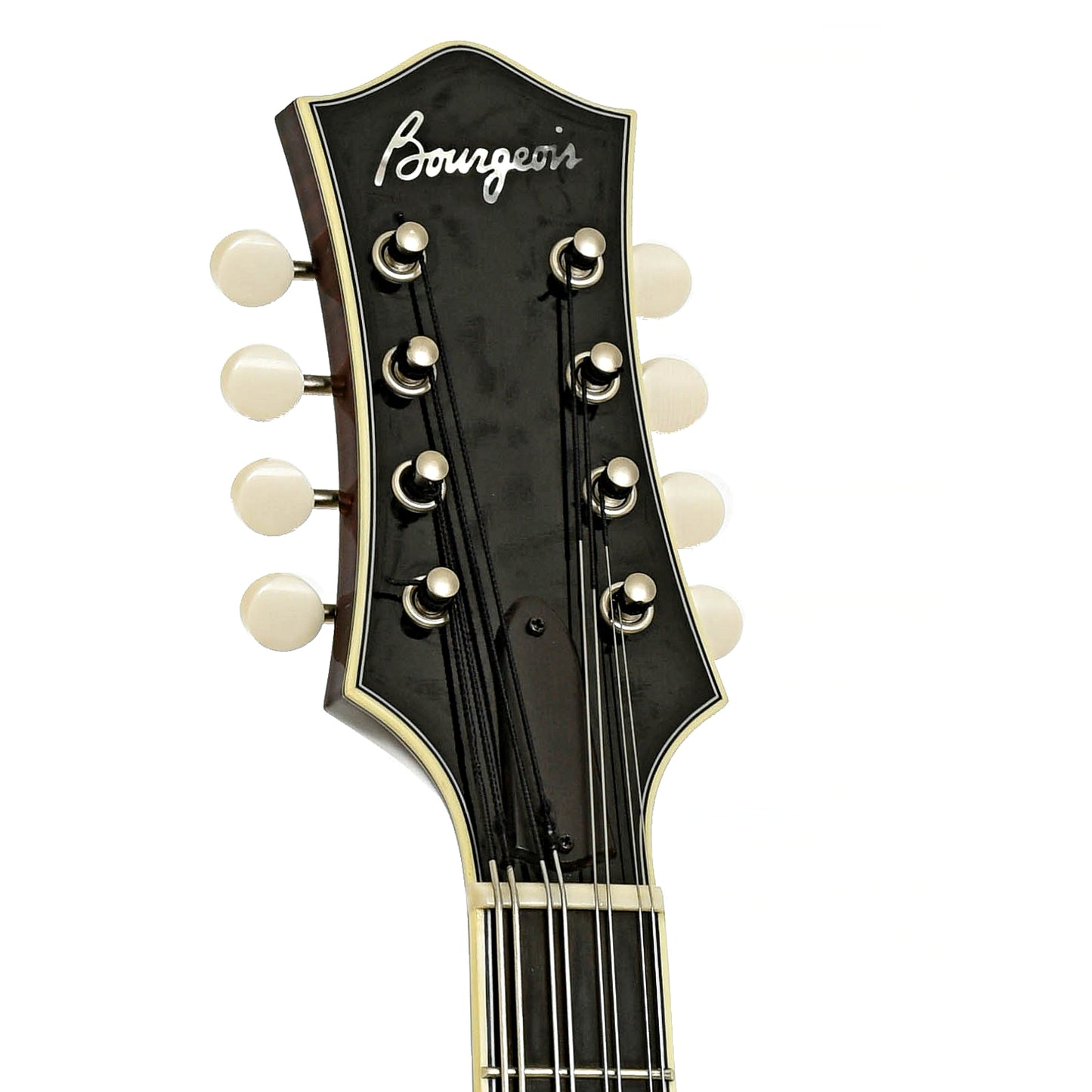 Headstock of Bourgeois MB-50-BT Octave Mandolin 