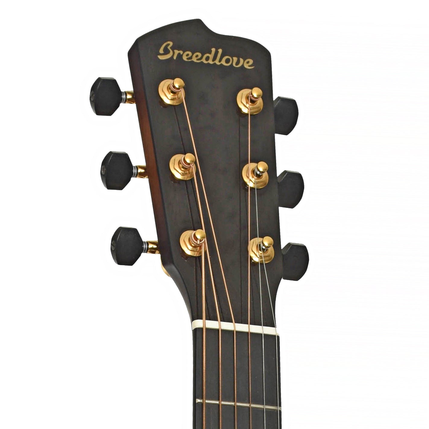 Headstock of Breedlove Elderly 50th Anniversary Custom Concerto Acoustic Guitar 