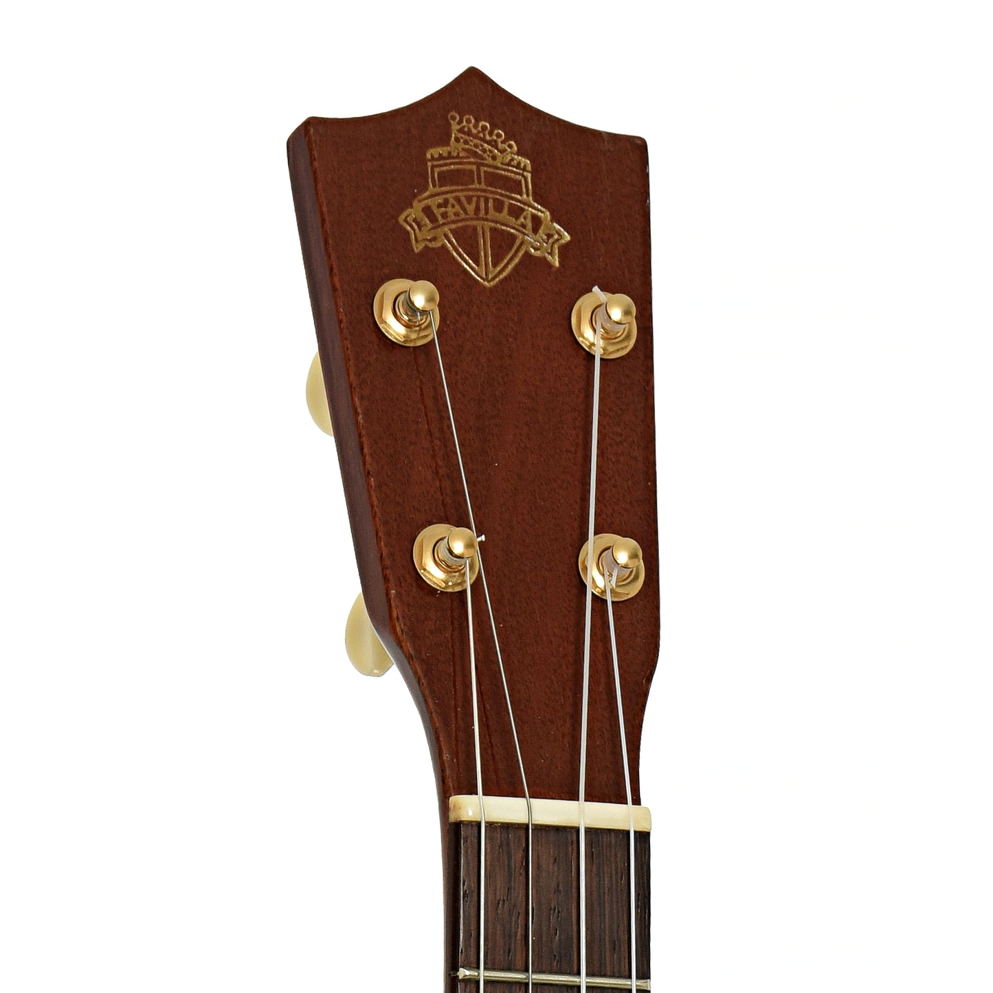 Headstock of Favilla B-2 Baritone Ukulele