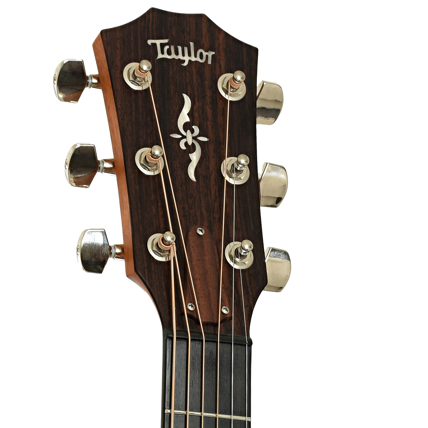 Headstock of Taylor 414-ceR V-Class Acoustic Electric Guitar