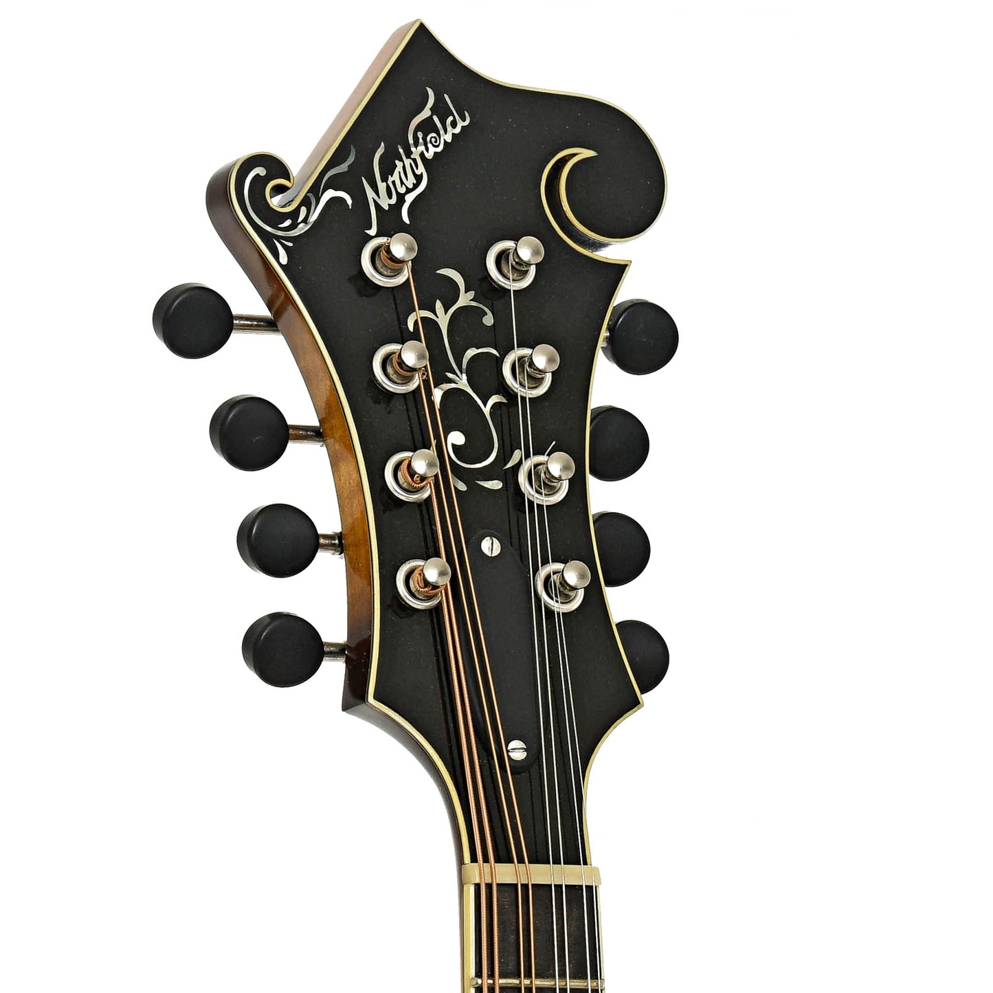 Headstock of Northfield NF-F5MB Blacktop Master Model