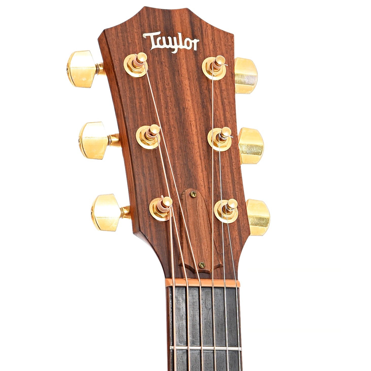 front headstock of Taylor 714-CE Acoustic-Electric Guitar (2005)