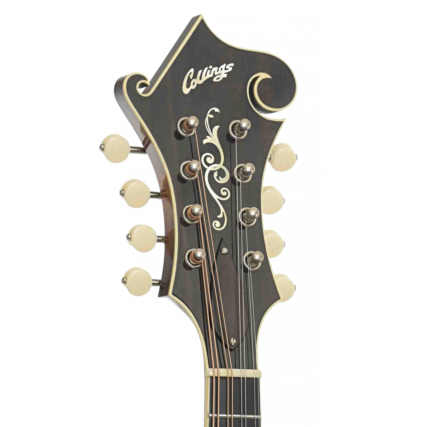 Collings MF5 Mandolin (2016)
