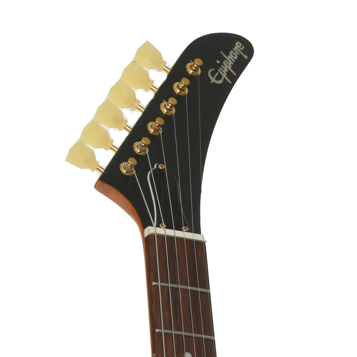 Headstock of Epiphone '58 Korina Explorer Electric Guitar