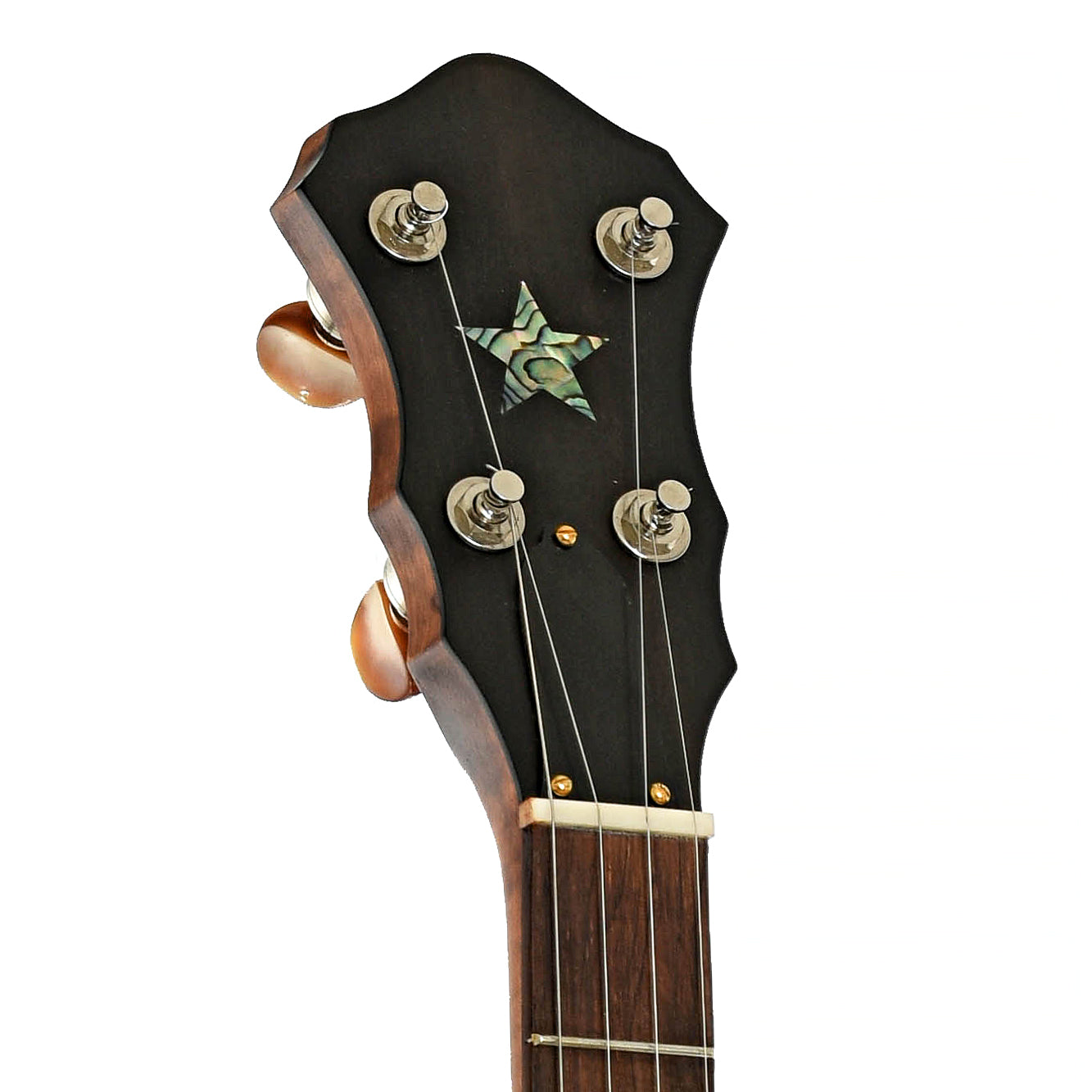 Headstock of Starr Limited Edition Banjos 12" Curly Maple Open-back Banjo