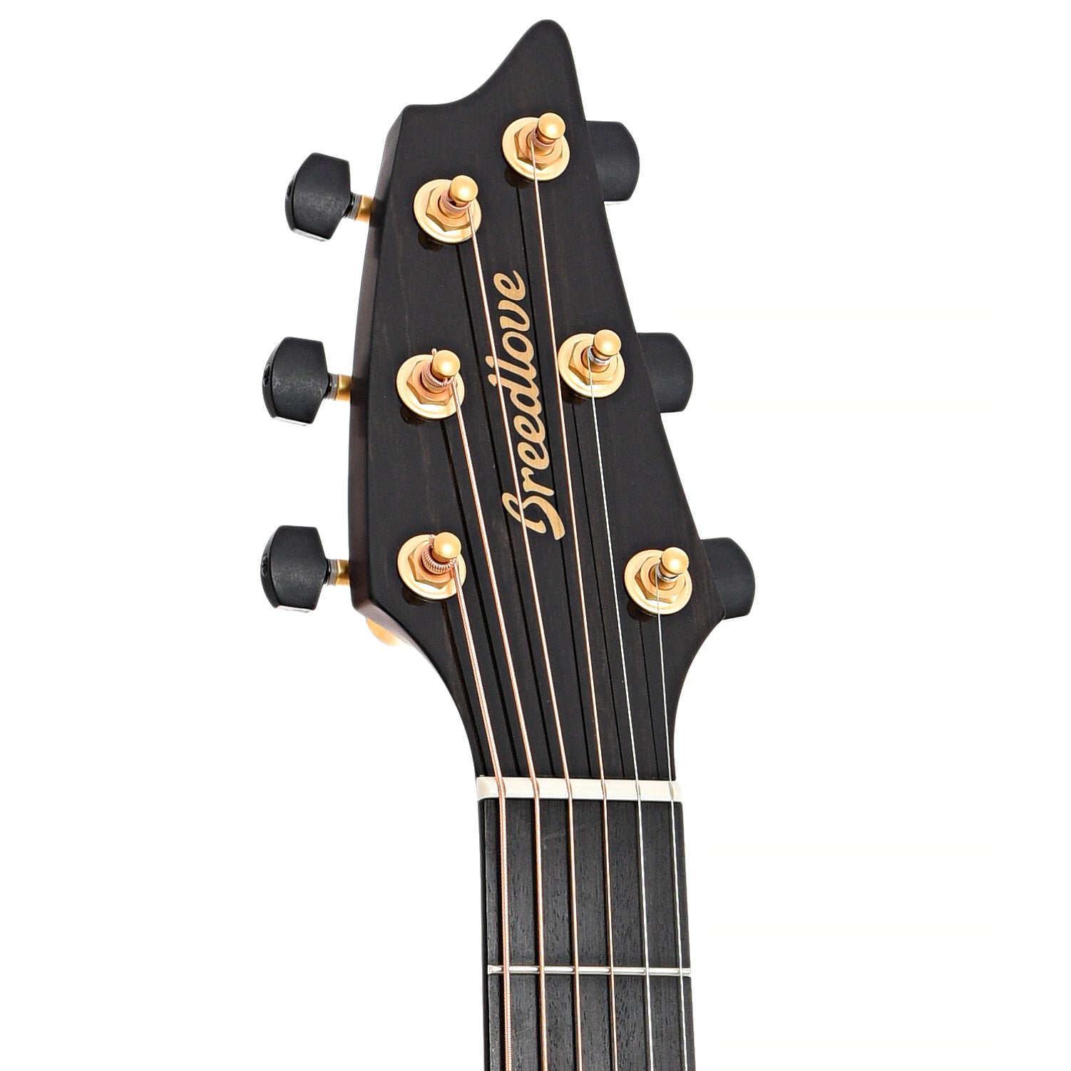Front headstock of Breedlove Oregon Concert Sahara CE Myrtlewood-Myrtlewood Limited Edition Acoustic Guitar