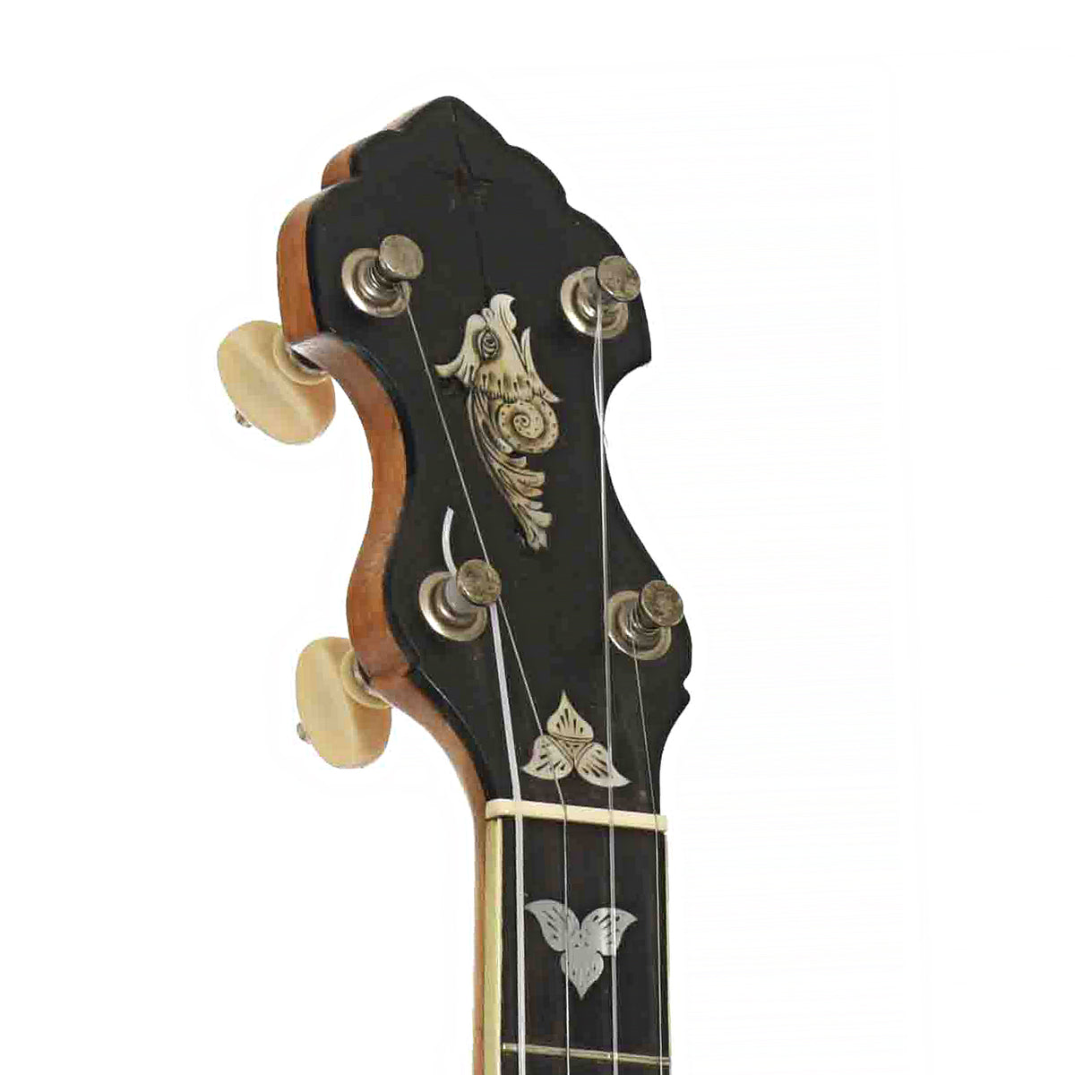 Fairbanks Special Electric Openback Banjo (1902)