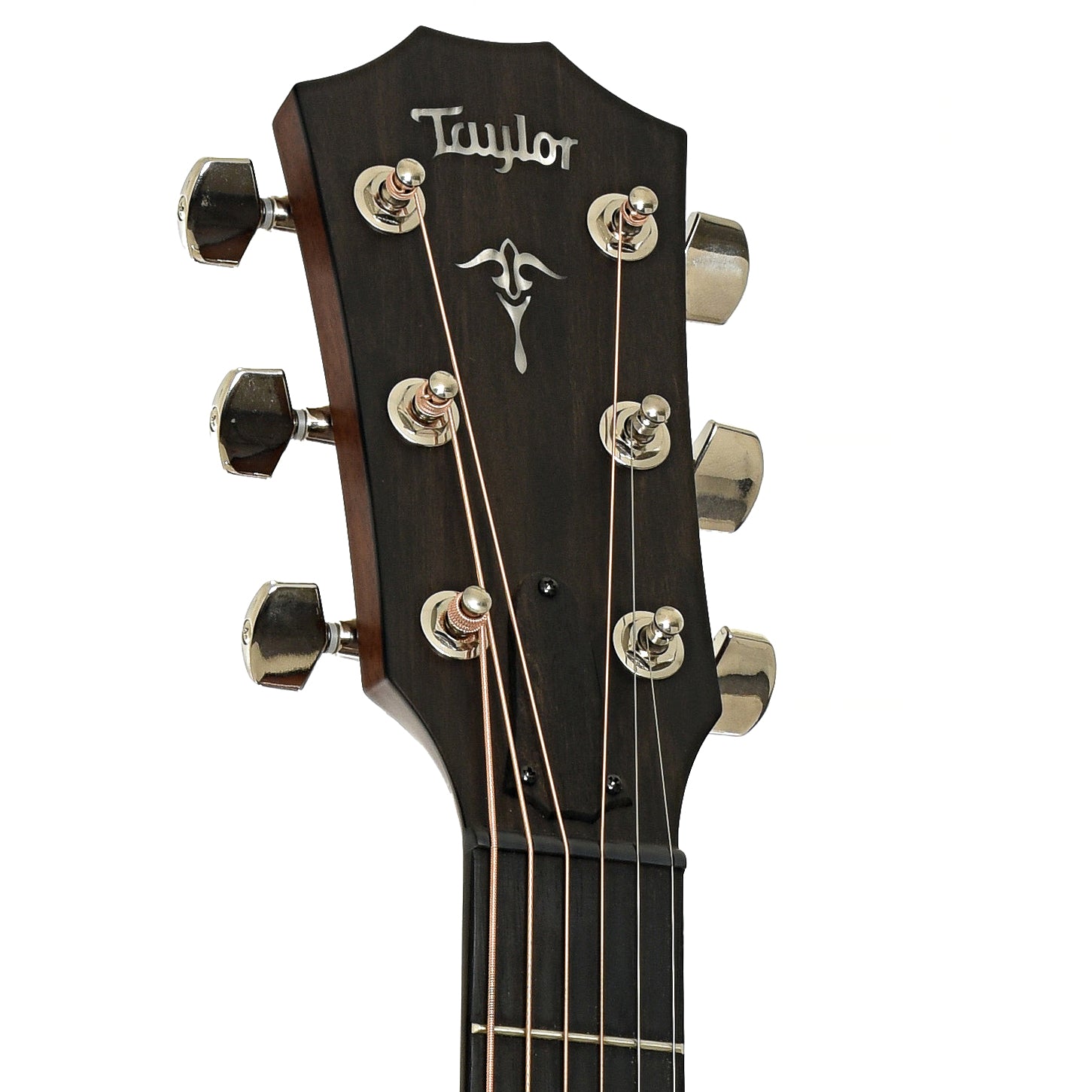 Headstock of Taylor 512CE Acoustic Guitar 